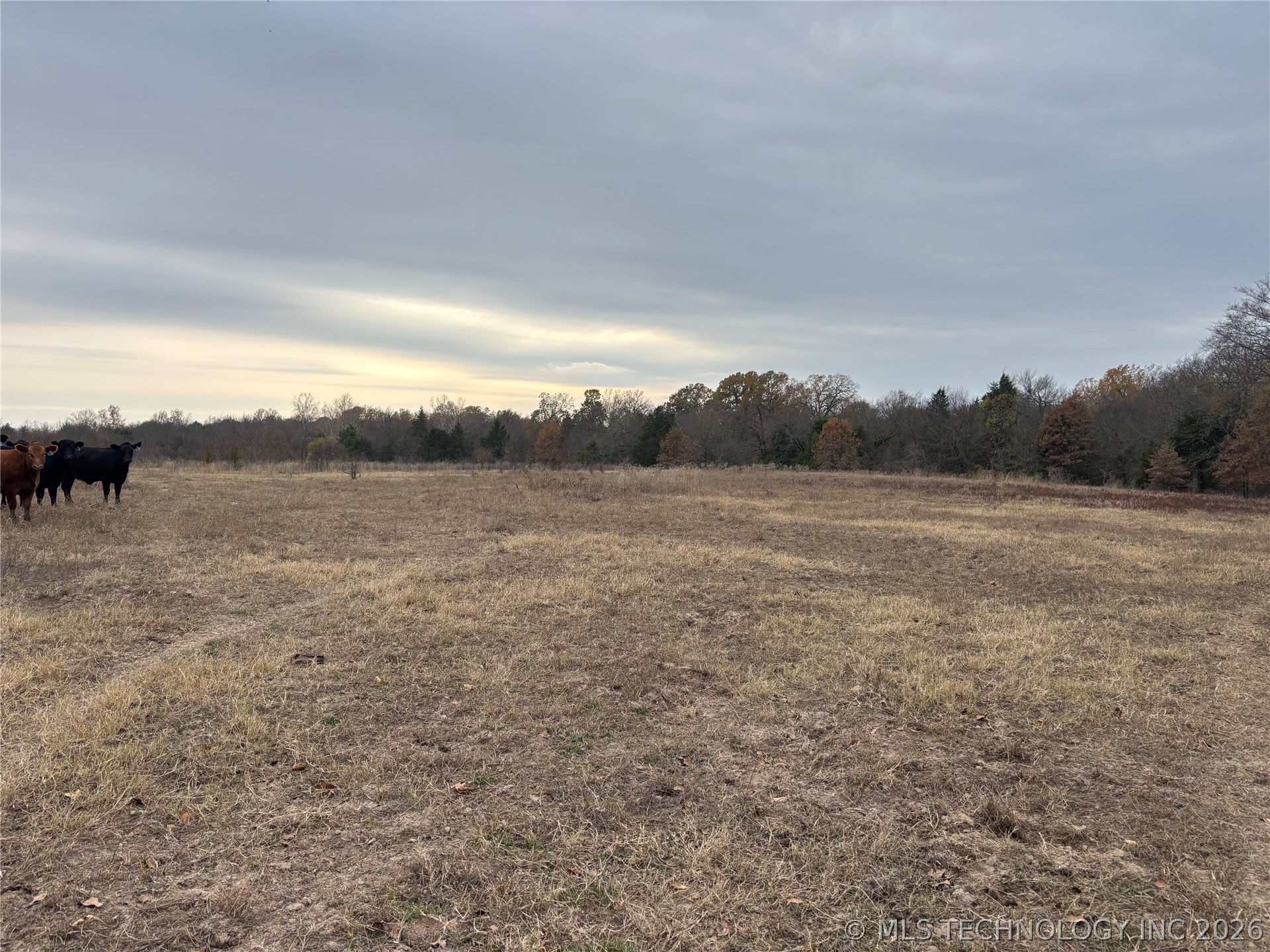 Nelson Property Photo 6