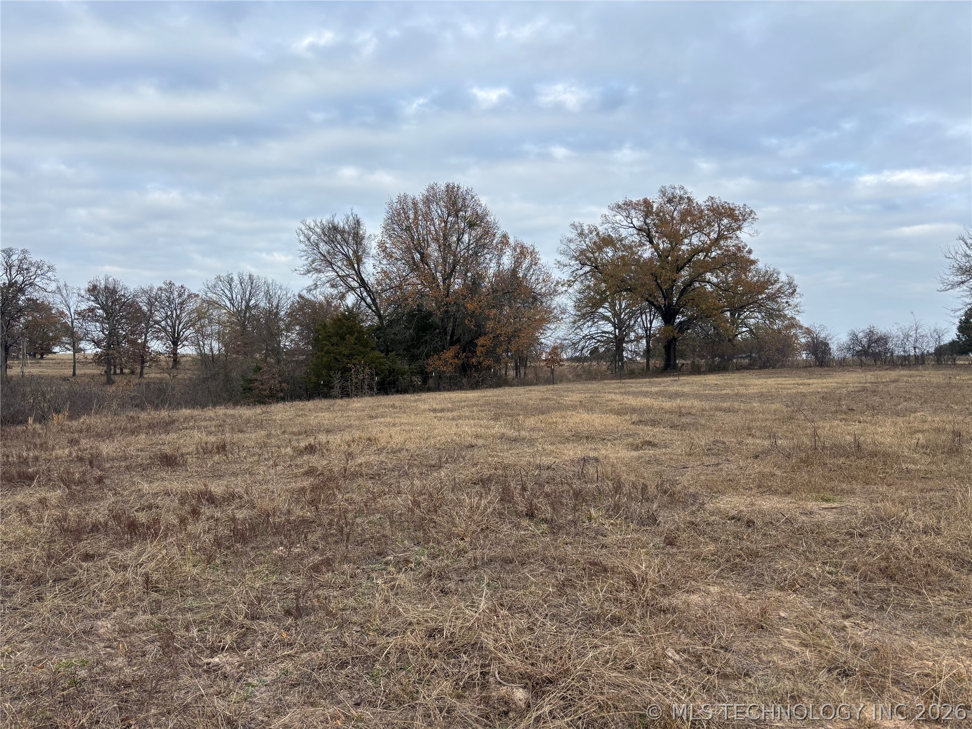 Nelson Property Photo 8