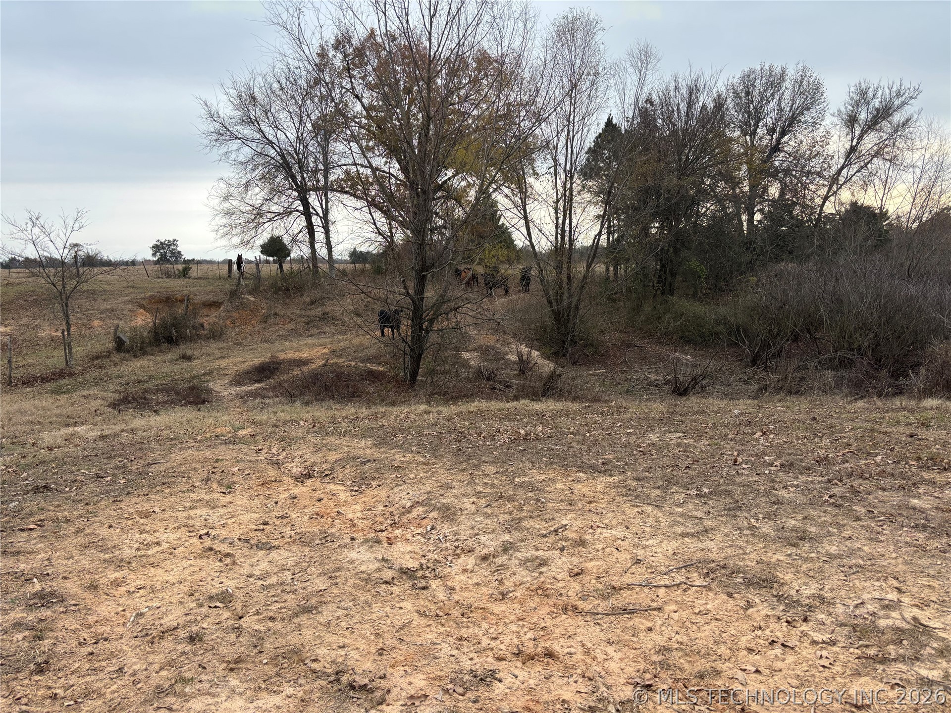Nelson Property Photo 11