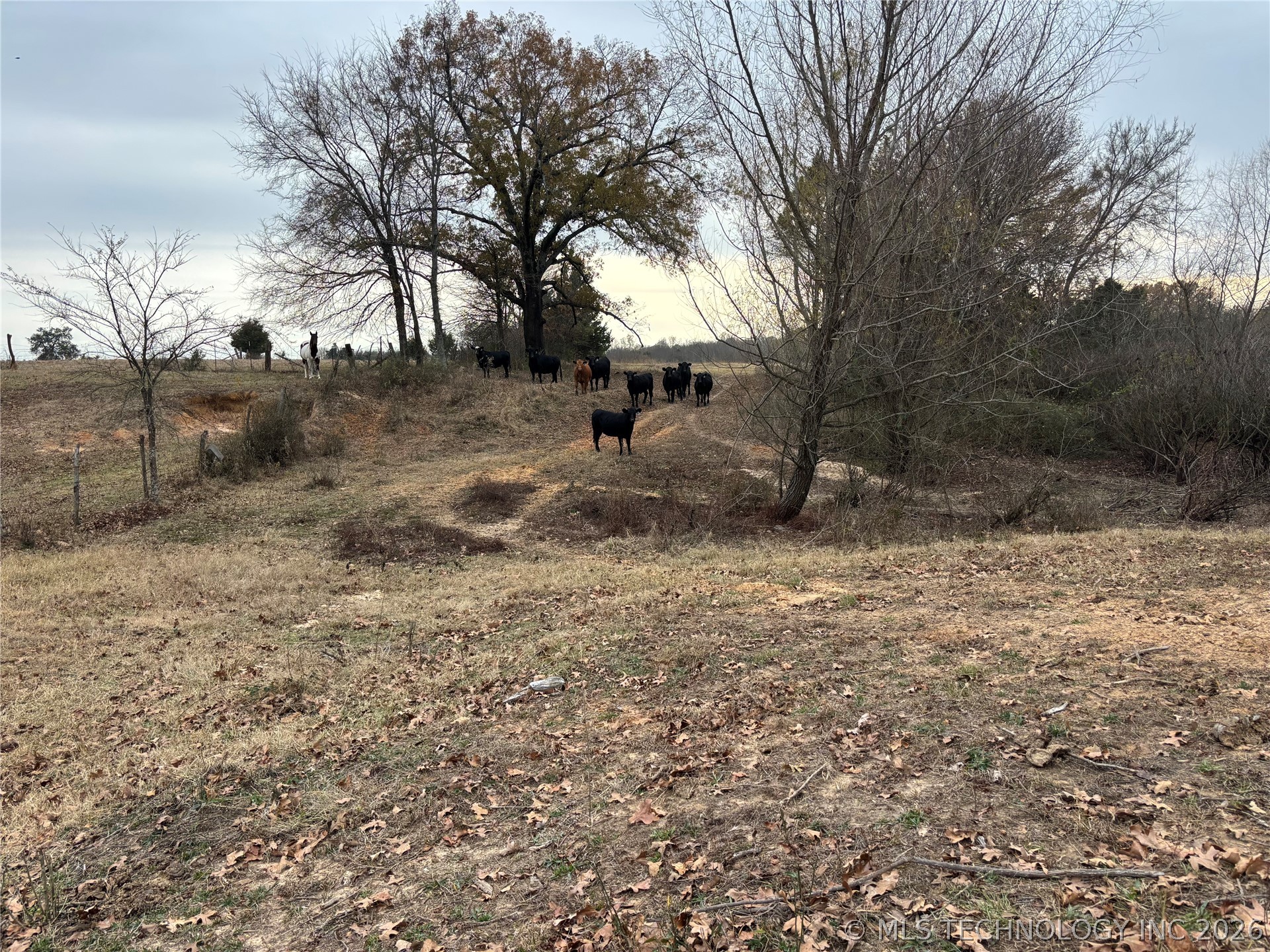Nelson Property Photo 12