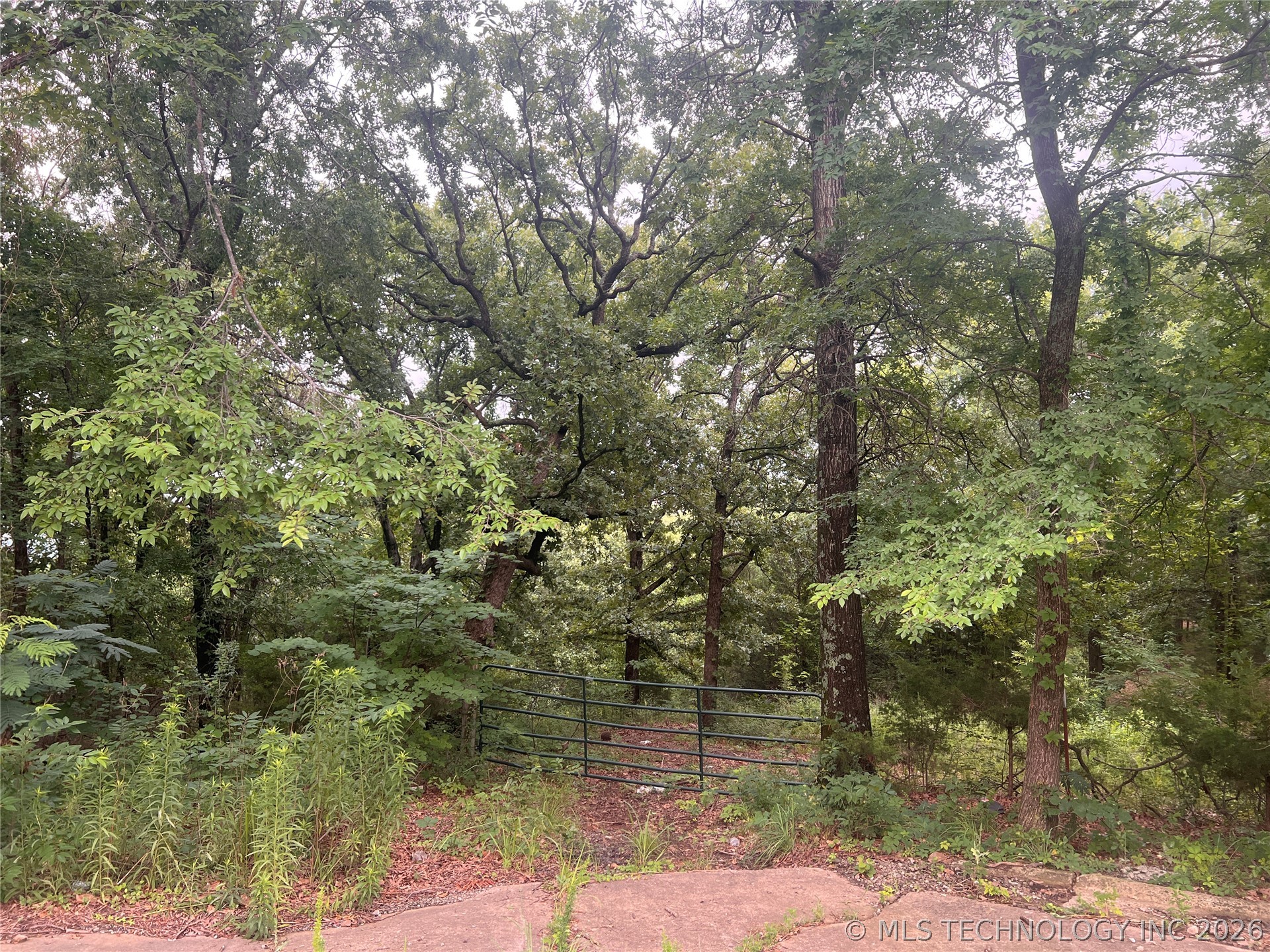 2407 Central Property Photo 1