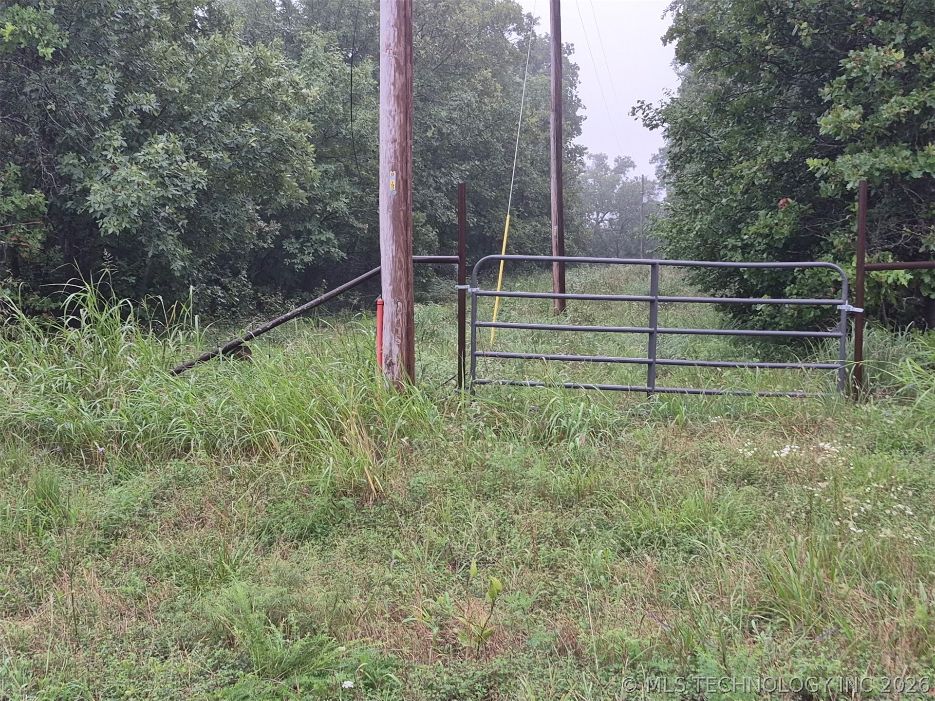 Javine Hill Road Property Photo 4
