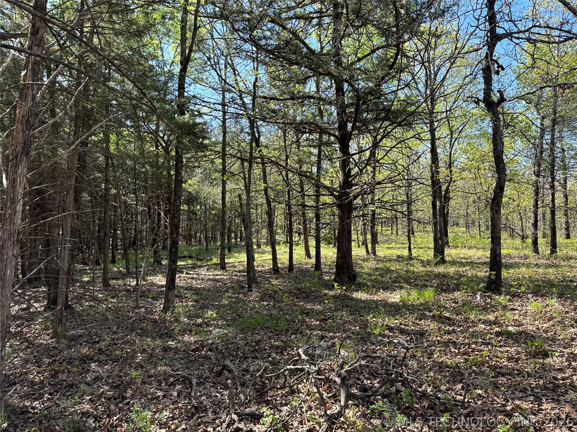 E Blue Creek Road Property Photo 6