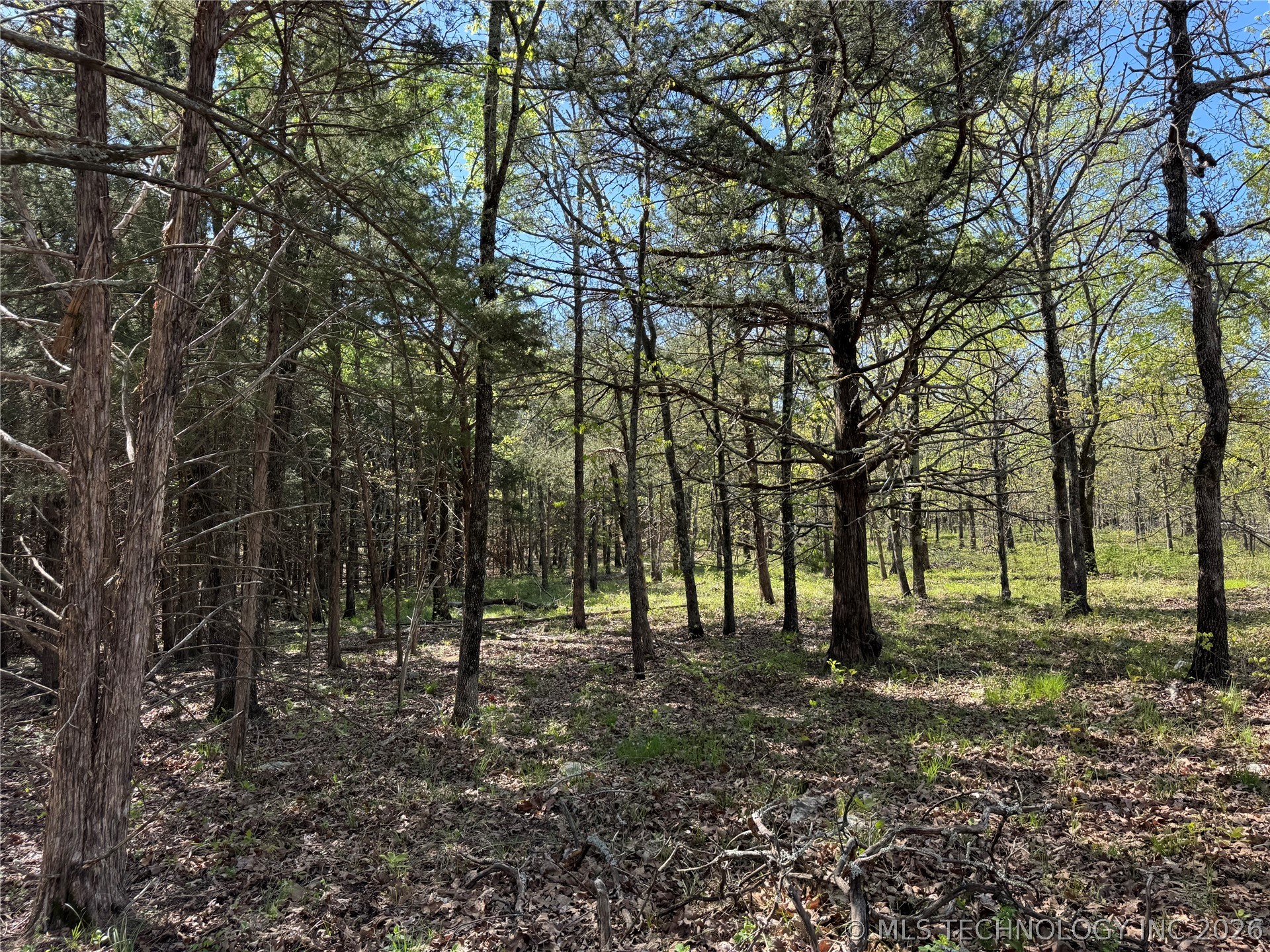E Blue Creek Road Property Photo 7