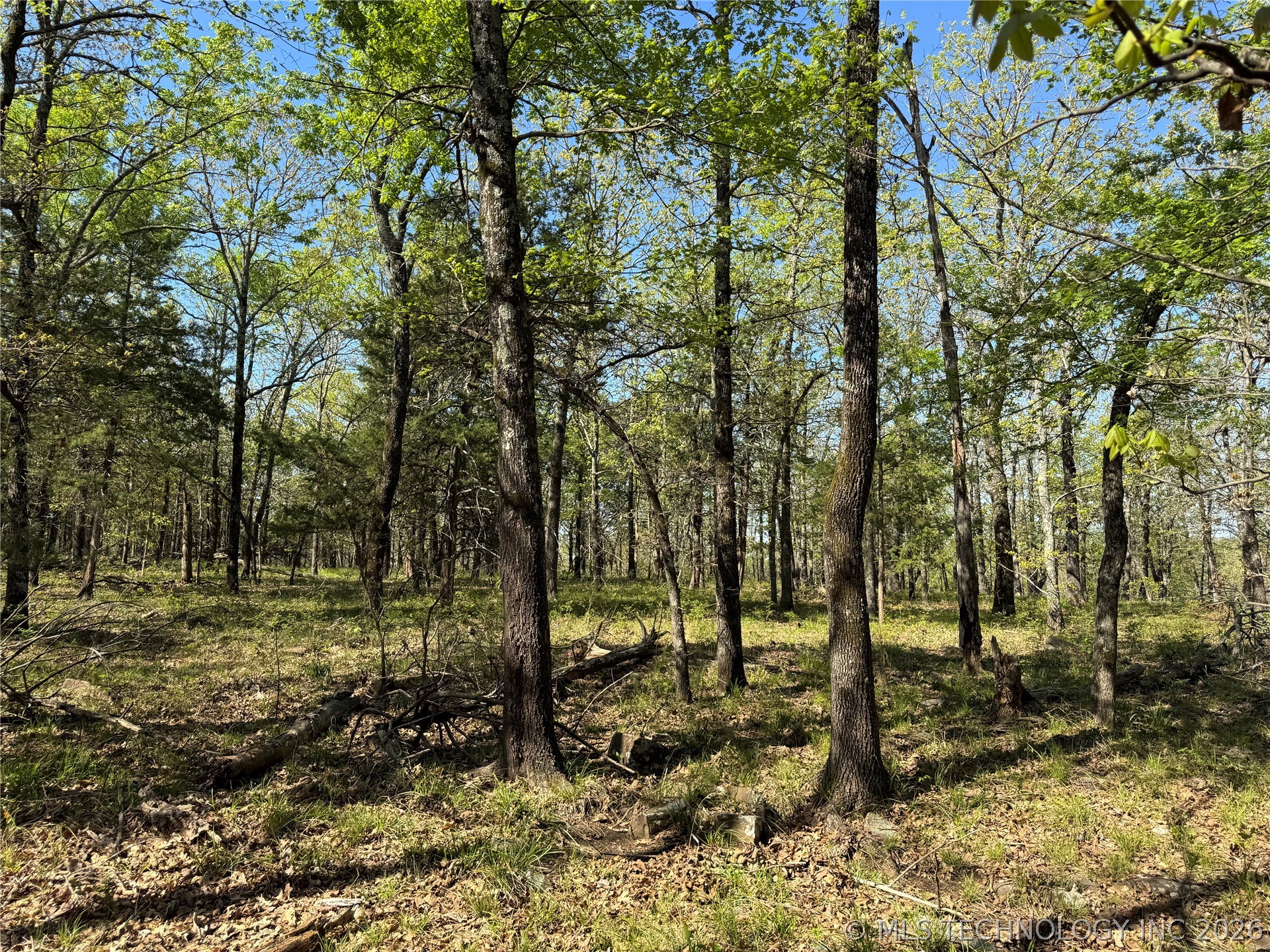 E Blue Creek Road Property Photo 8