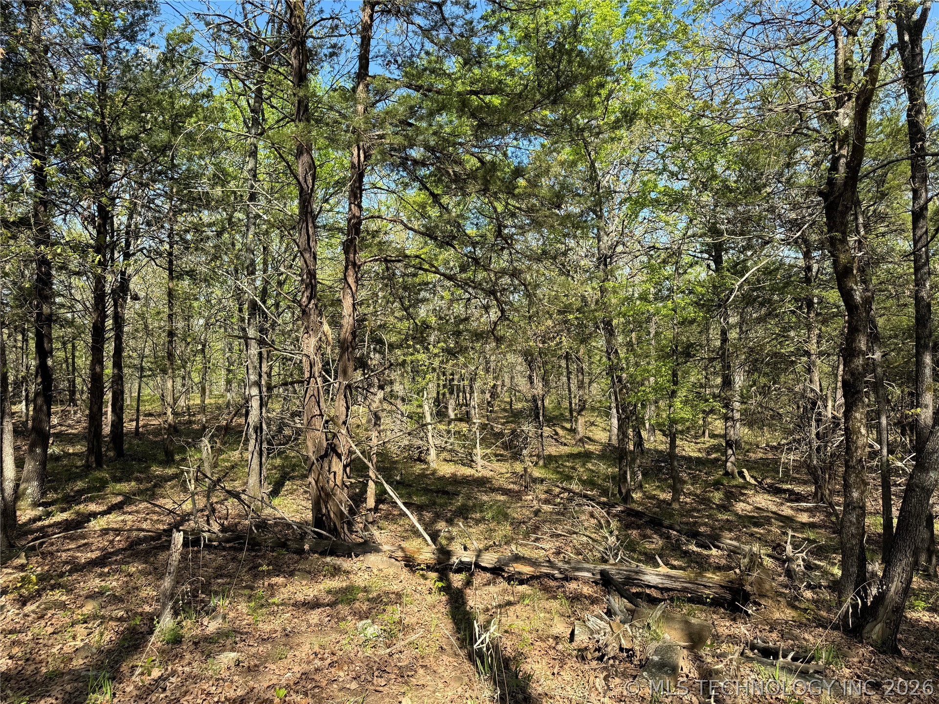 E Blue Creek Road Property Photo 9