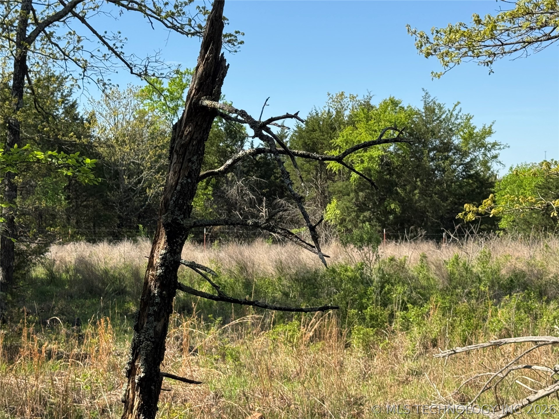 E Blue Creek Road Property Photo 10