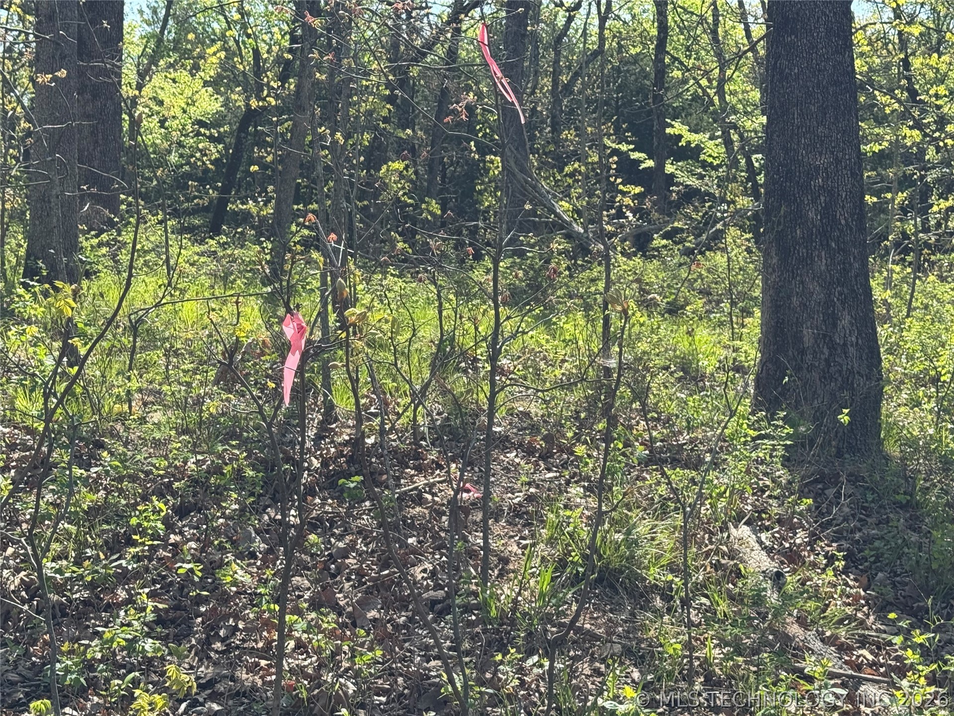 E Blue Creek Road Property Photo 11