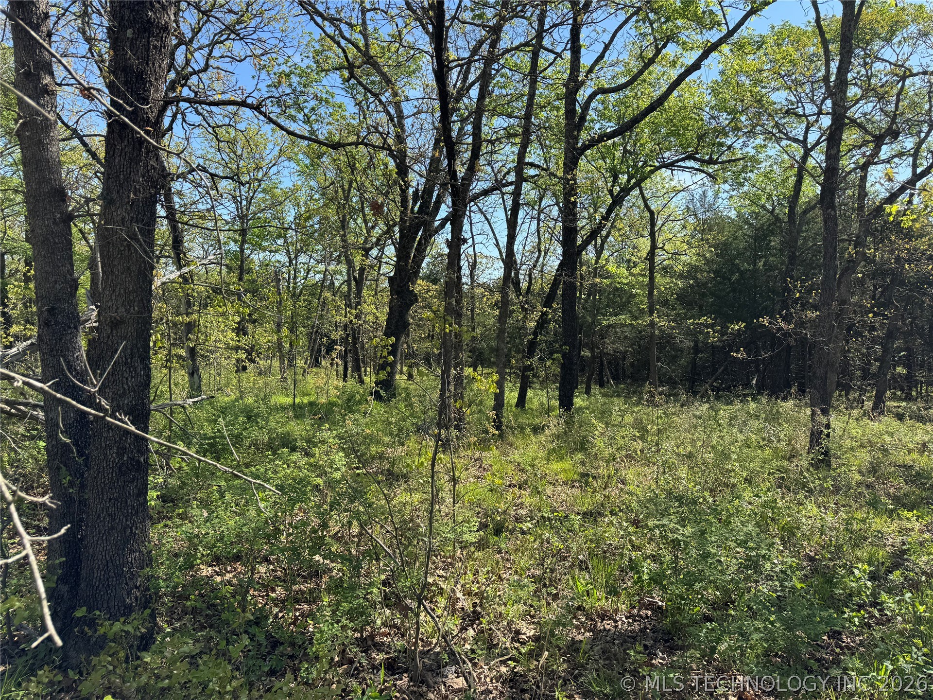 E Blue Creek Road Property Photo 12