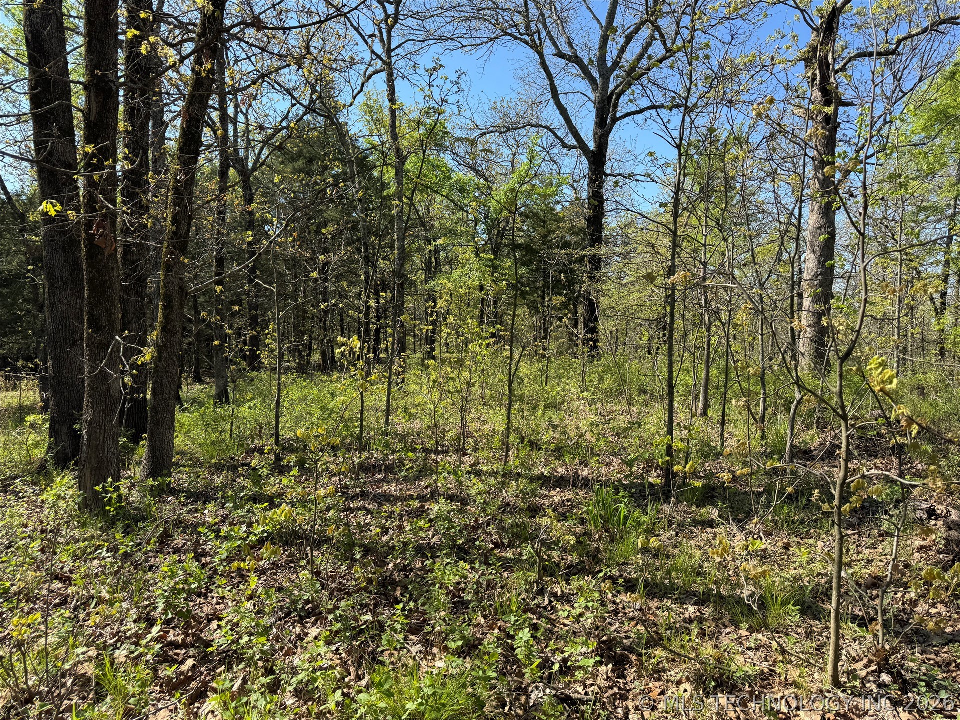 E Blue Creek Road Property Photo 13