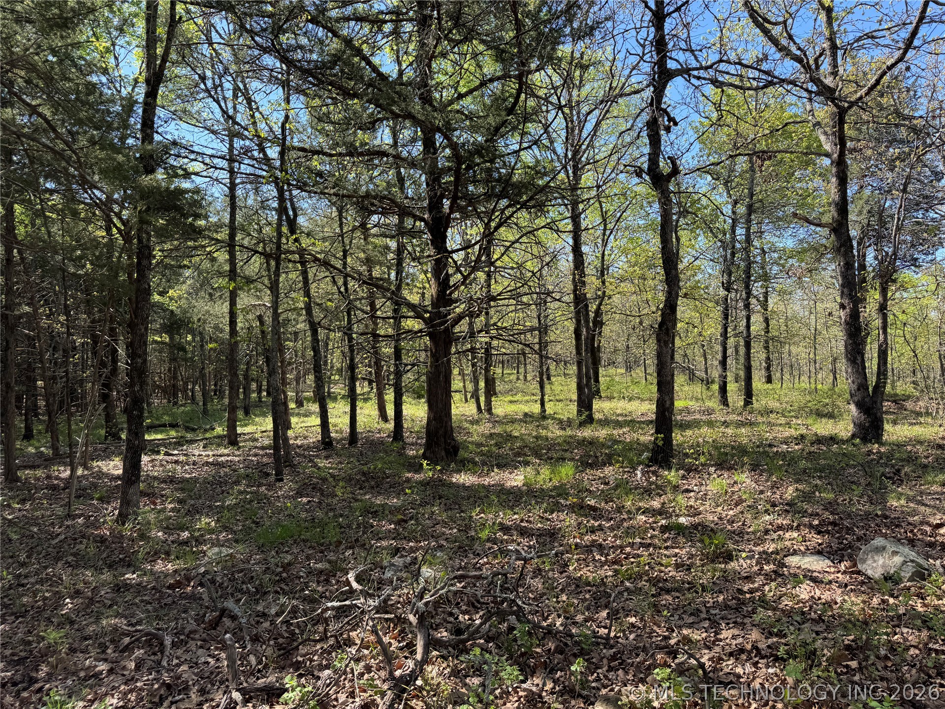 E Blue Creek Road Property Photo 14