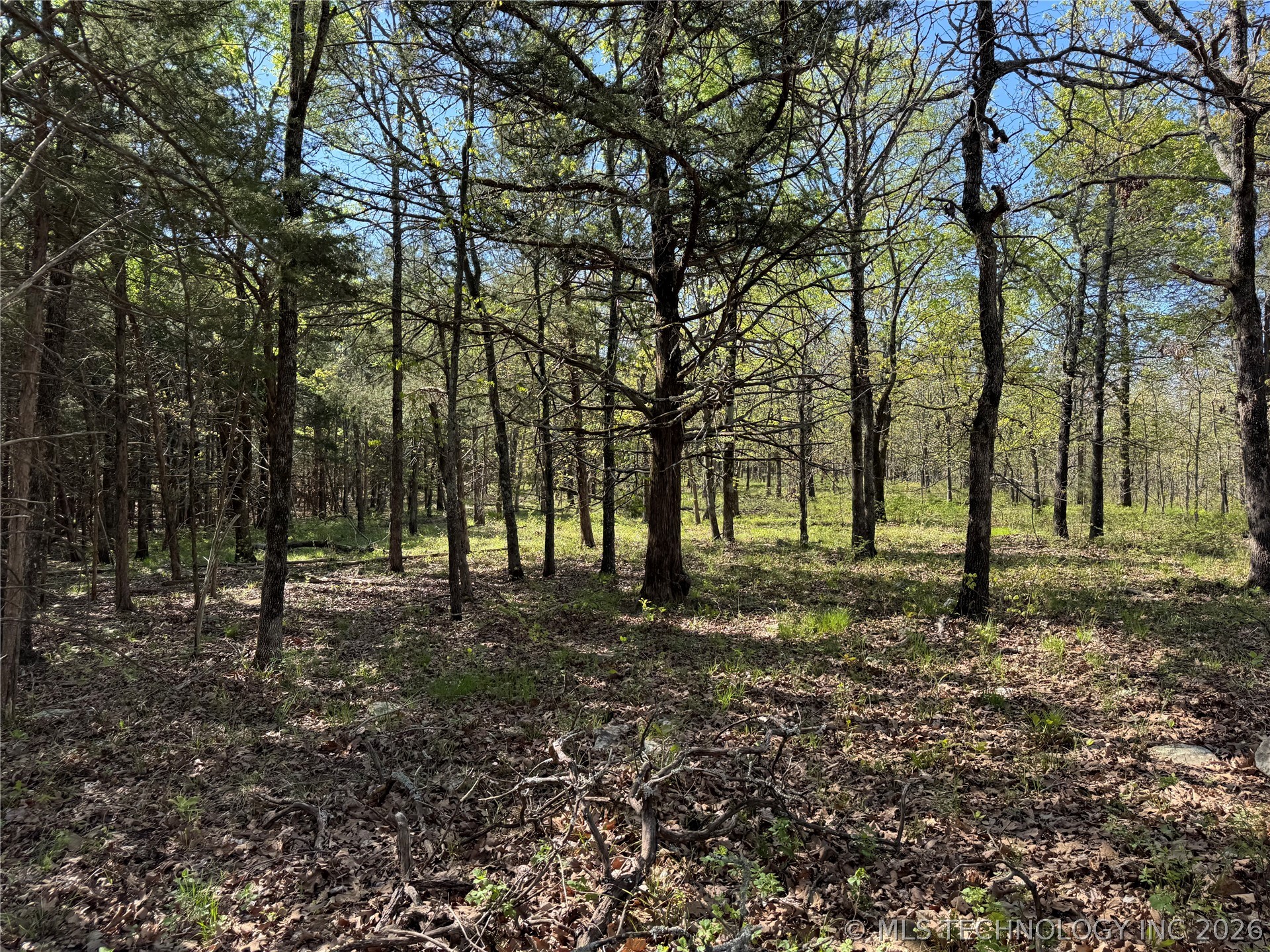 E Blue Creek Road Property Photo 15