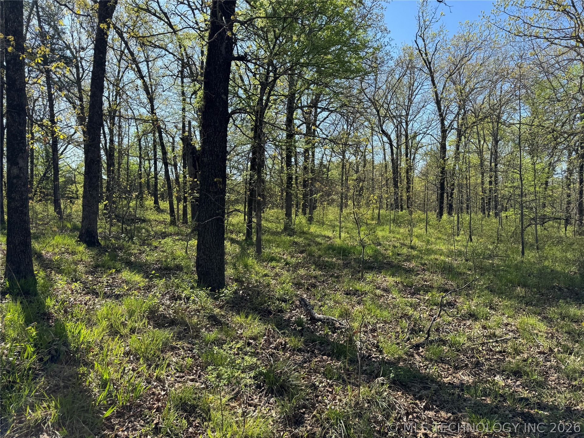 E Blue Creek Road Property Photo 16