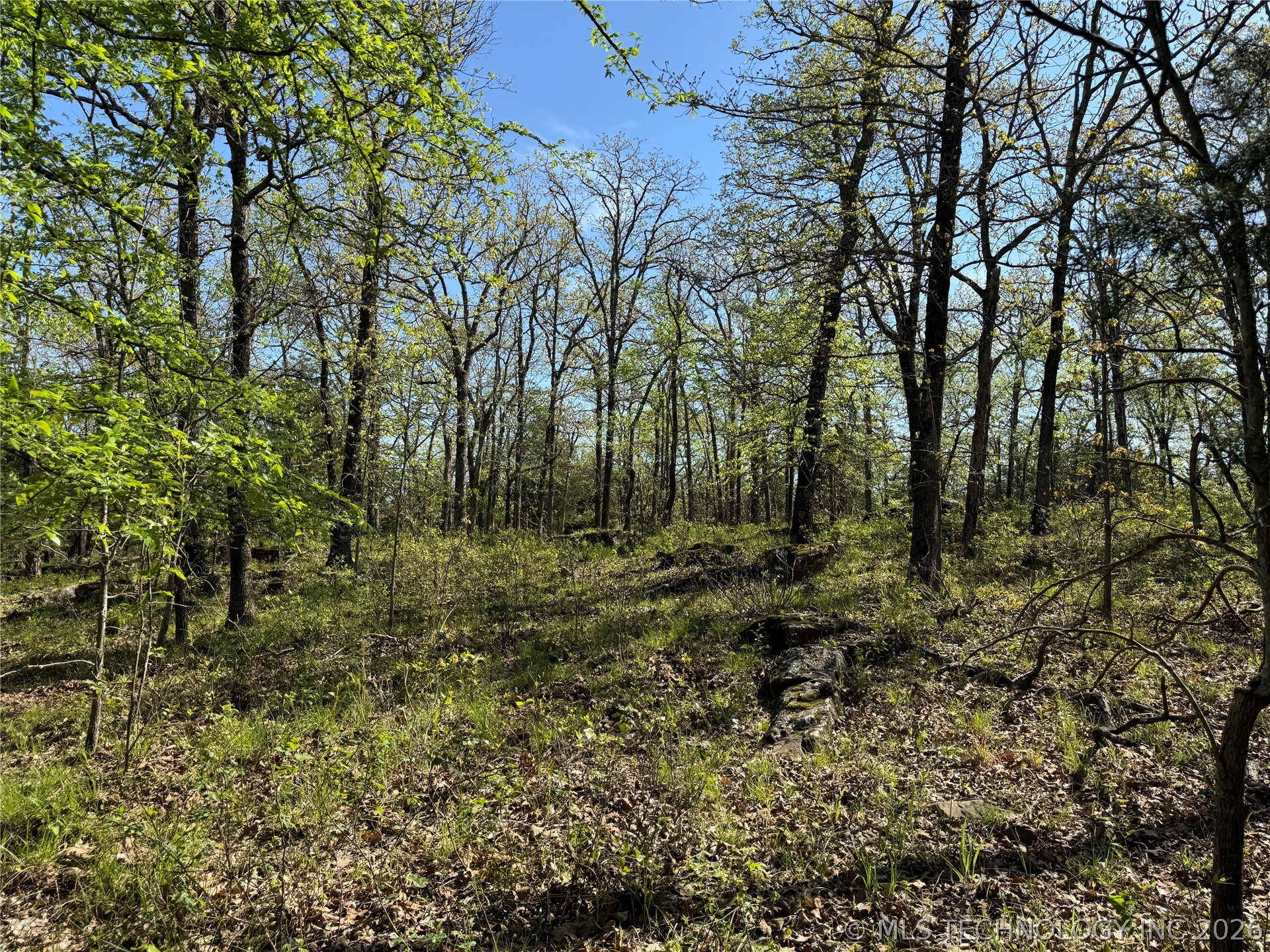 E Blue Creek Road Property Photo 17