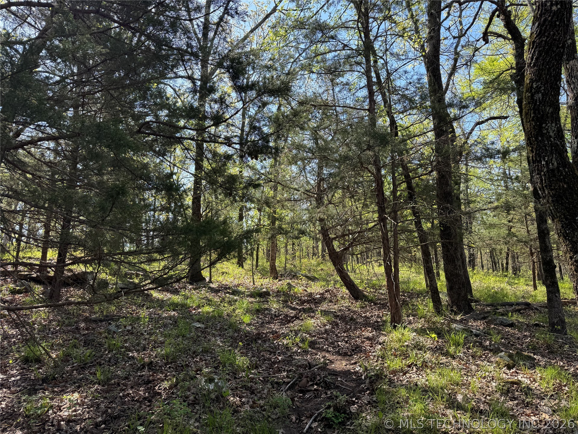 E Blue Creek Road Property Photo 18