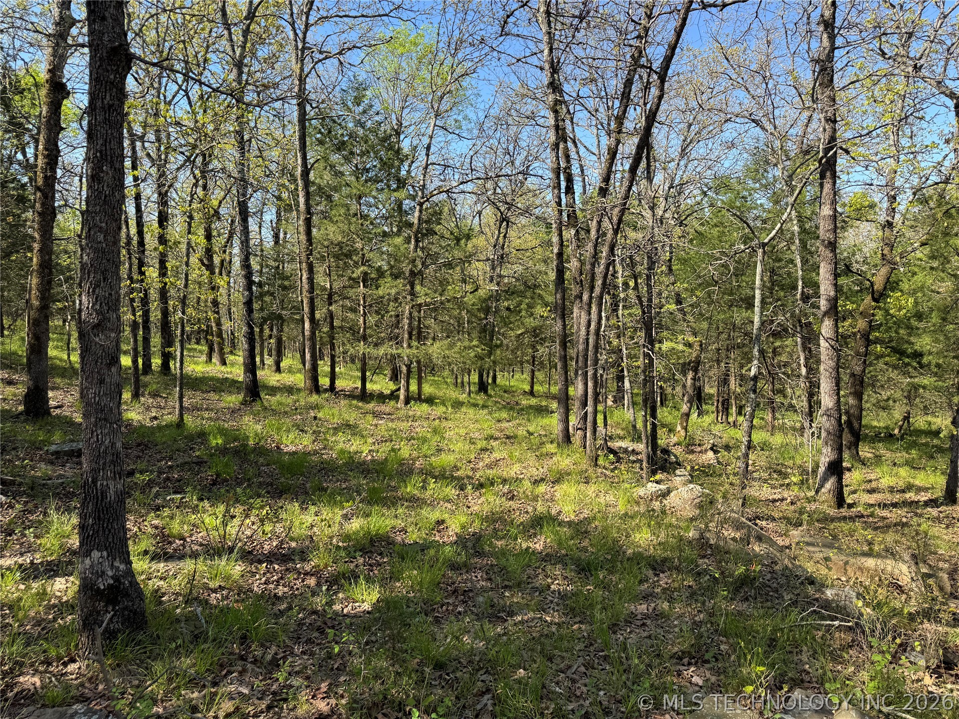 E Blue Creek Road Property Photo 19