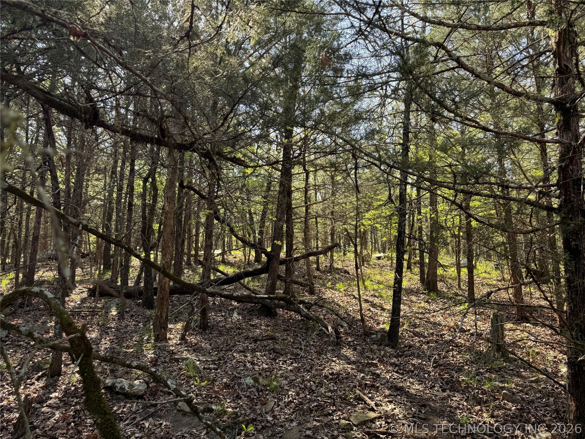 E Blue Creek Road Property Photo 20