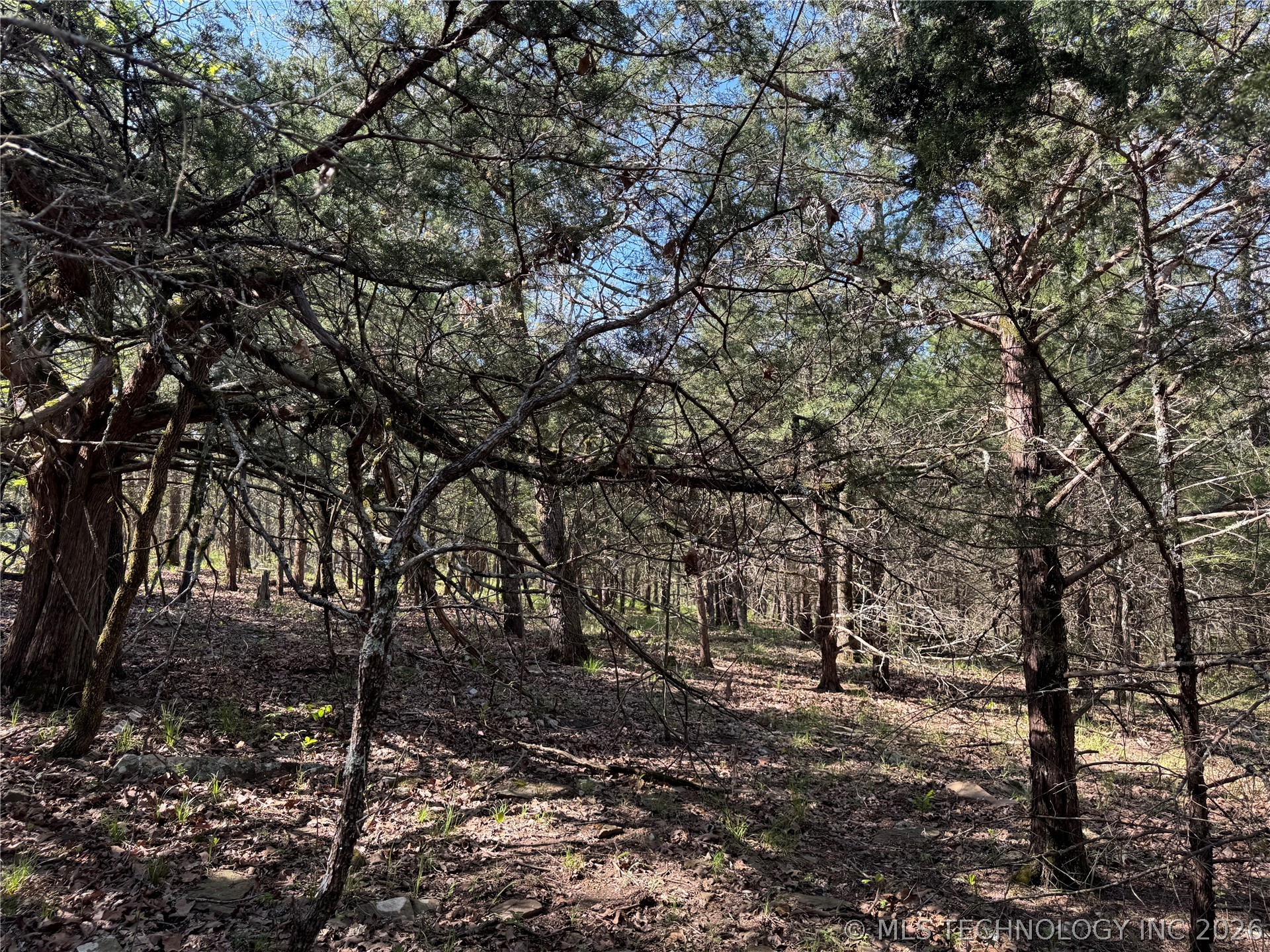 E Blue Creek Road Property Photo 21