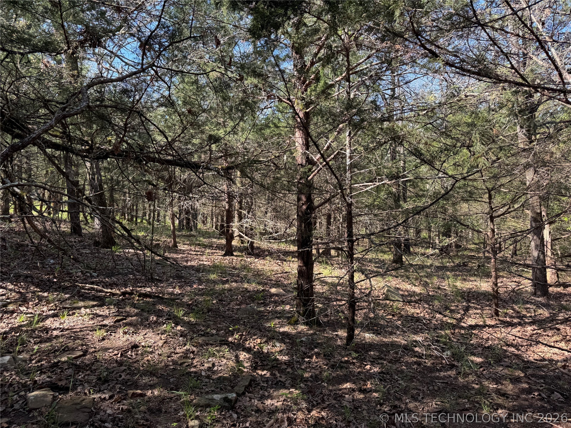 E Blue Creek Road Property Photo 22