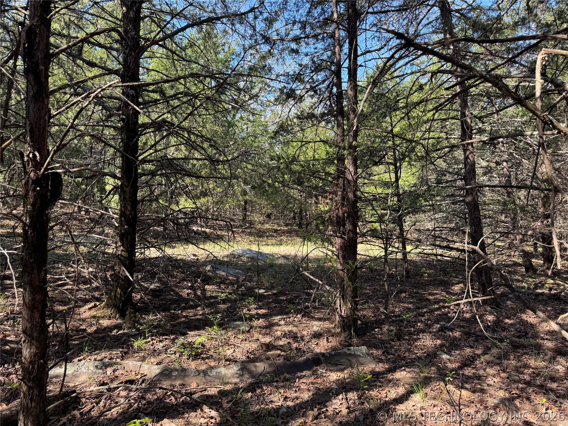 E Blue Creek Road Property Photo 23