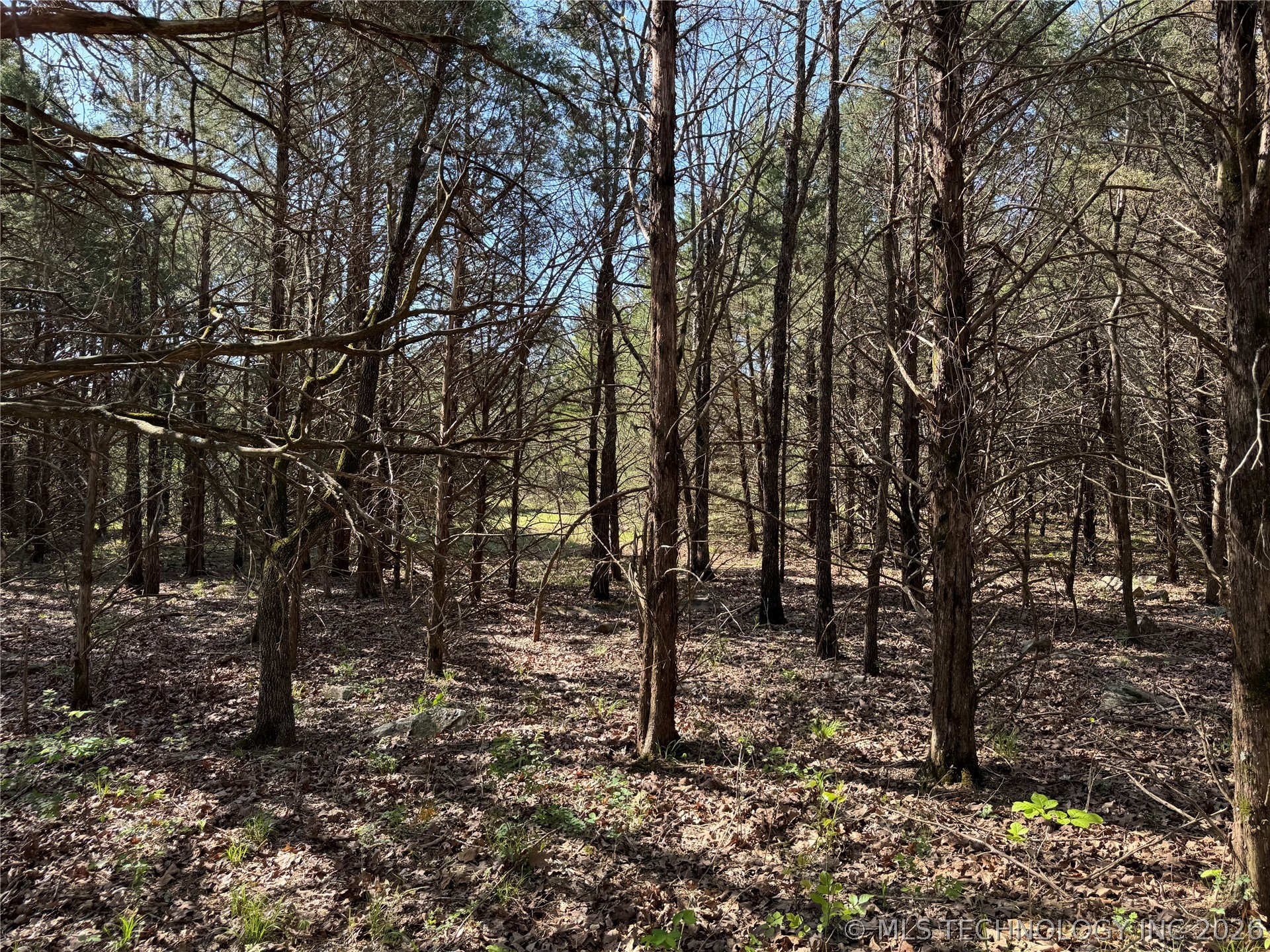E Blue Creek Road Property Photo 25