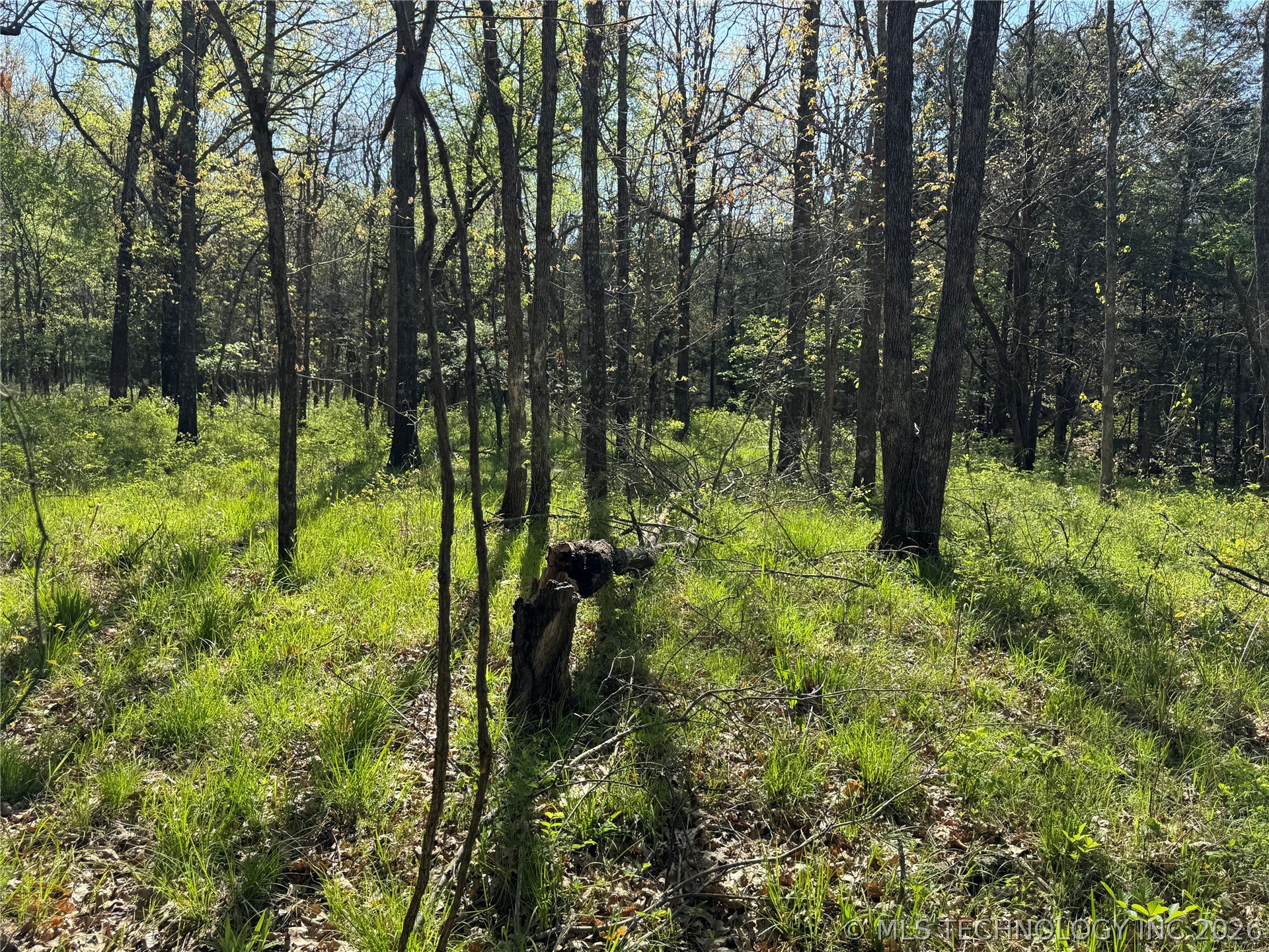 E Blue Creek Road Property Photo 27