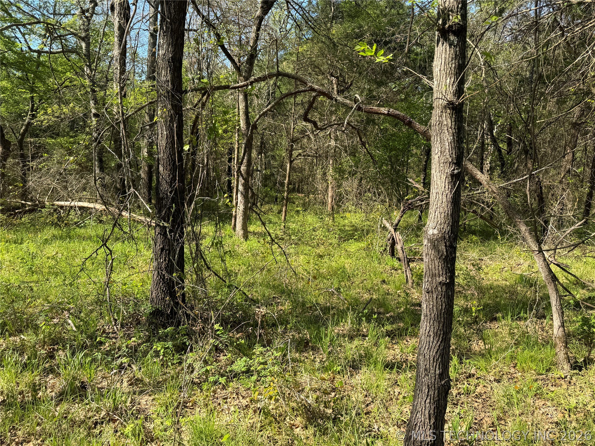 E Blue Creek Road Property Photo 28
