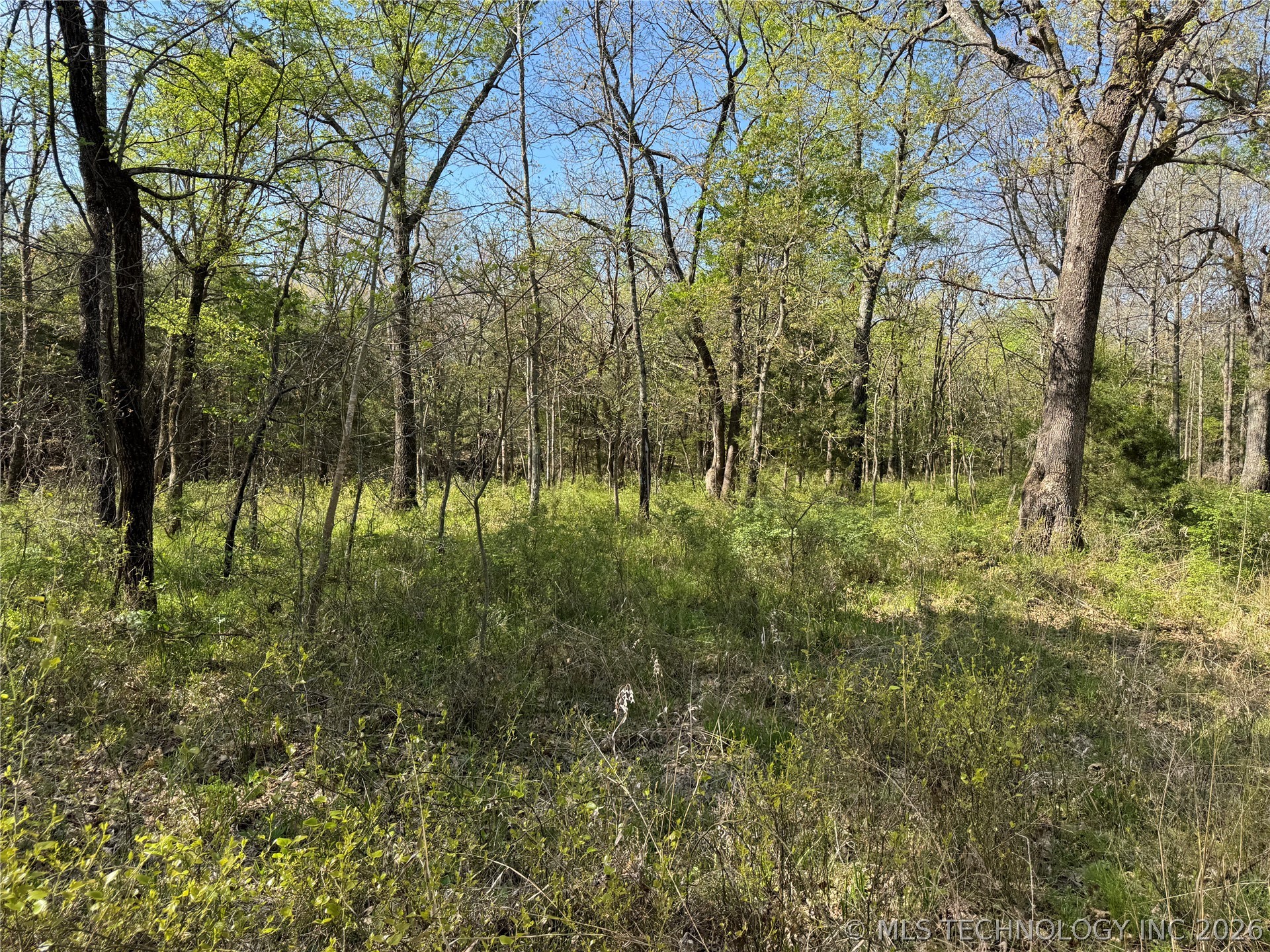 E Blue Creek Road Property Photo 36