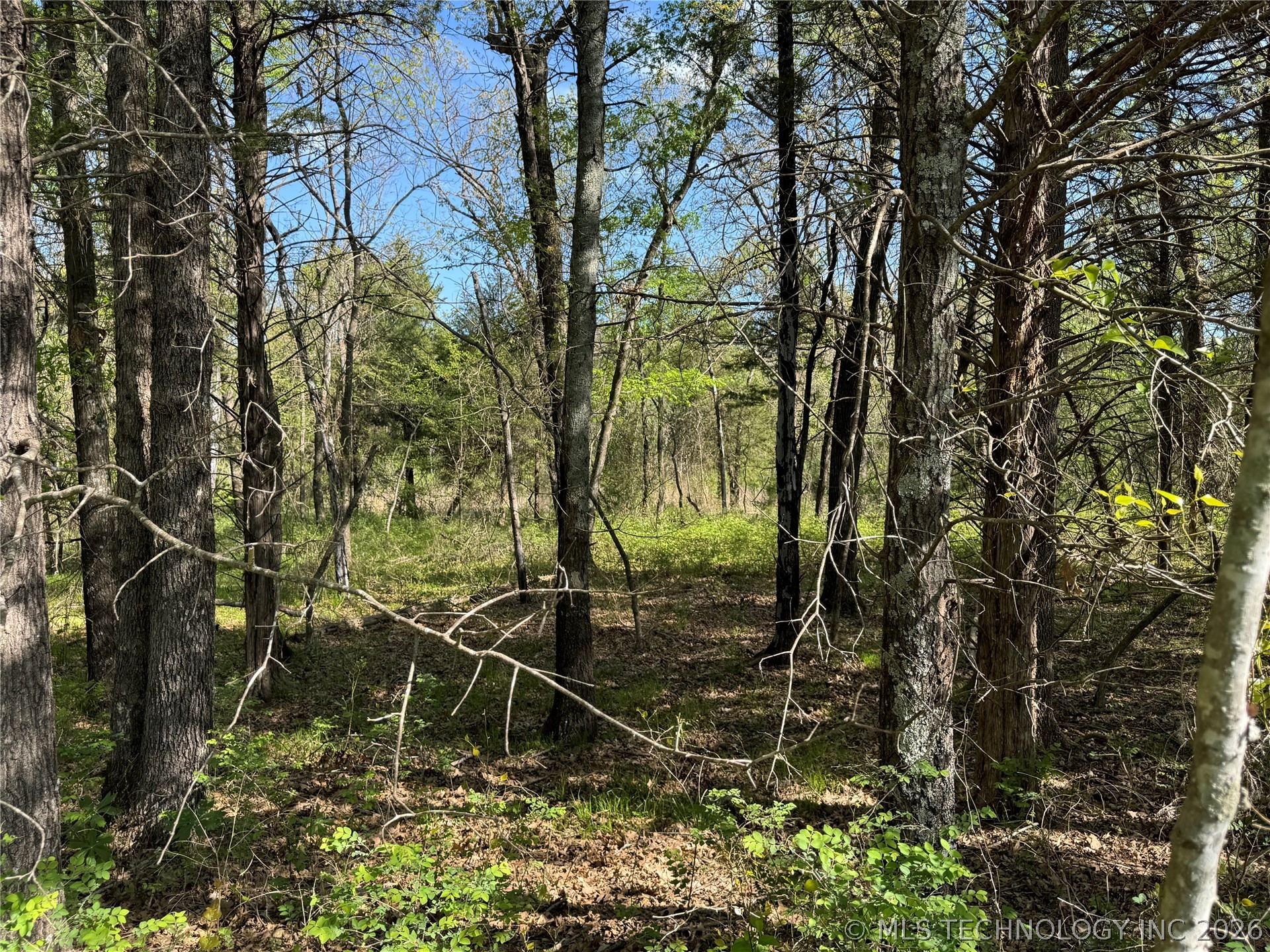 E Blue Creek Road Property Photo 37