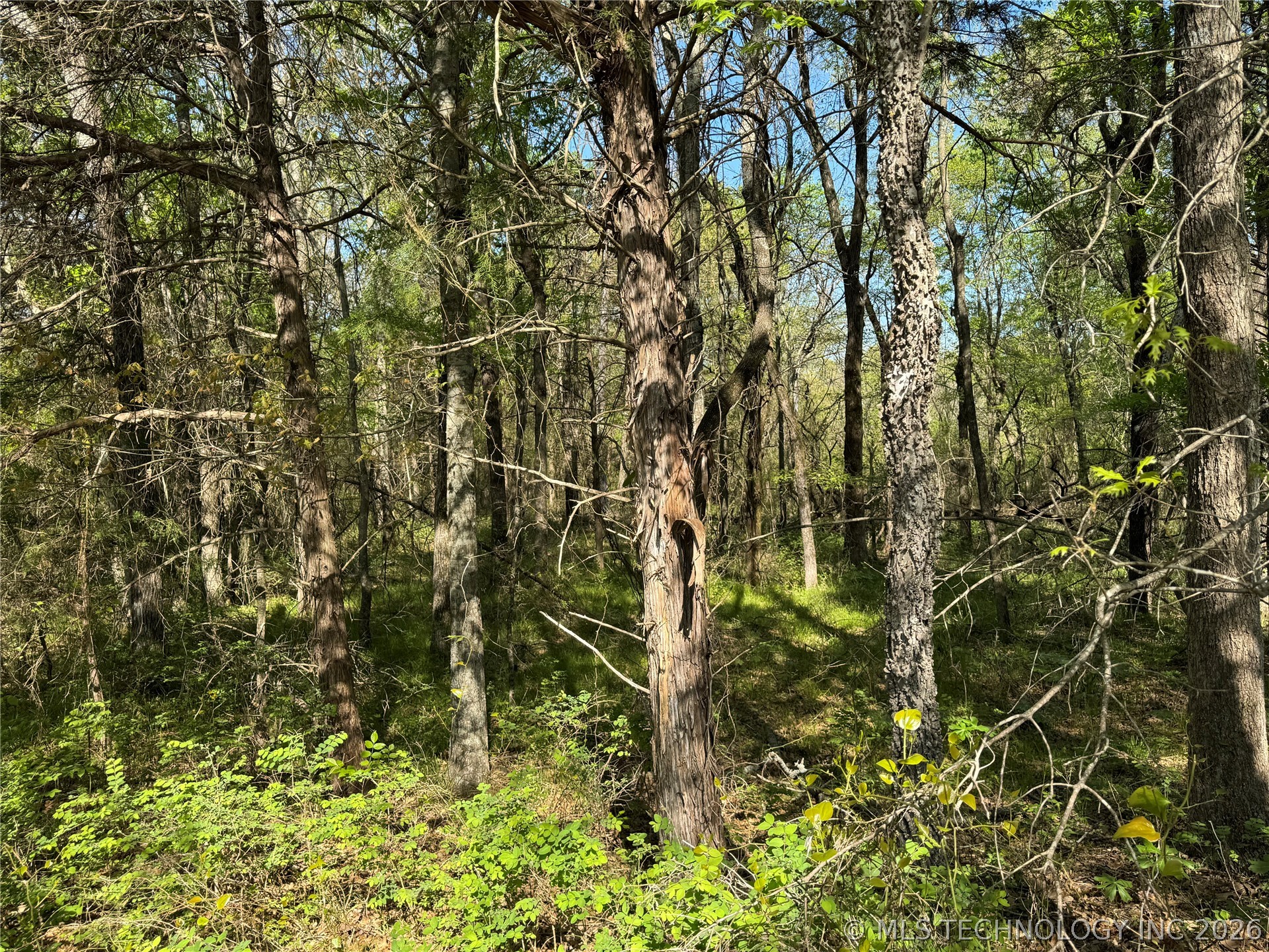 E Blue Creek Road Property Photo 38