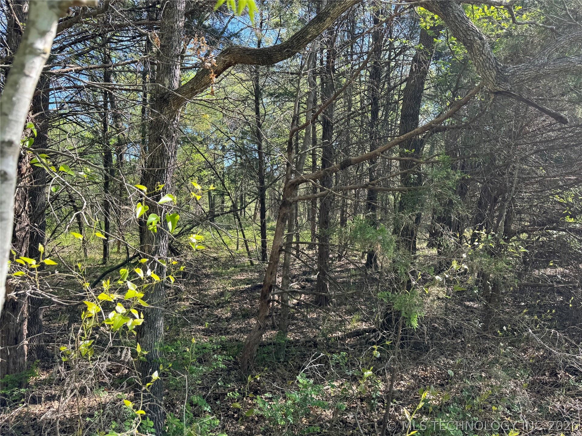 E Blue Creek Road Property Photo 39