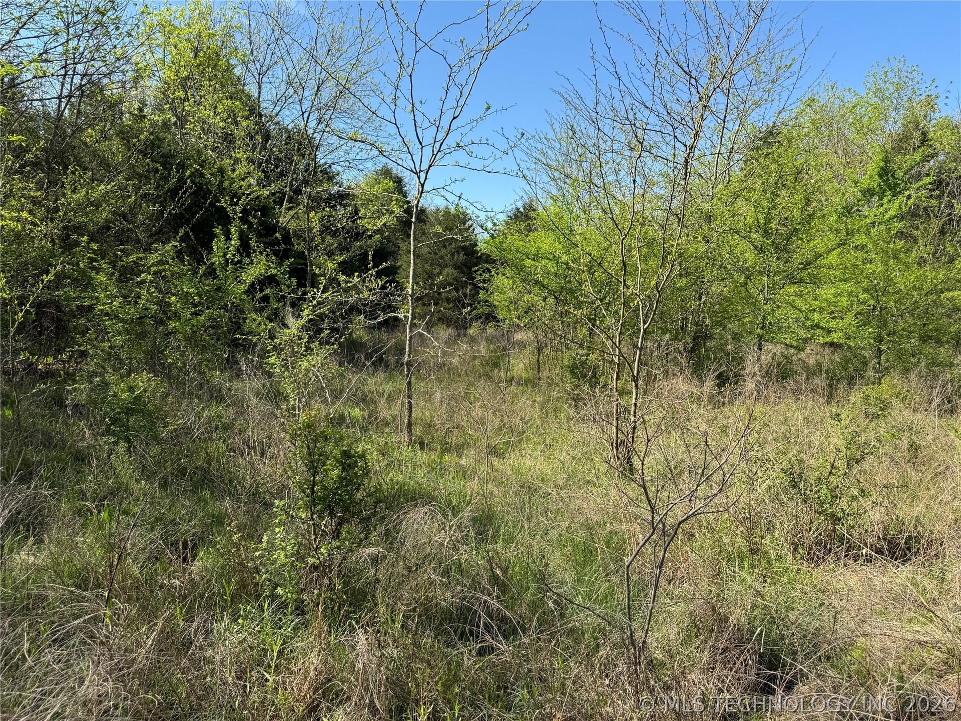 E Blue Creek Road Property Photo 40