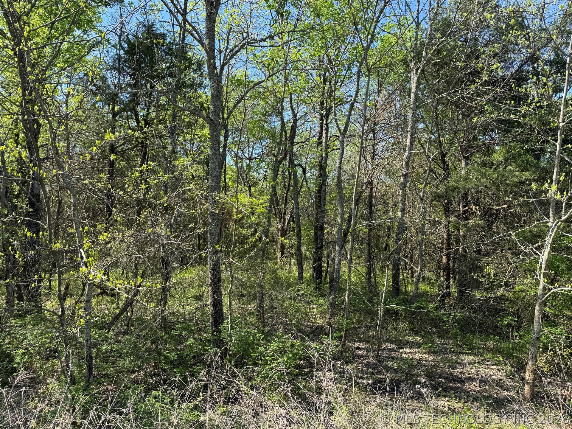 E Blue Creek Road Property Photo 43