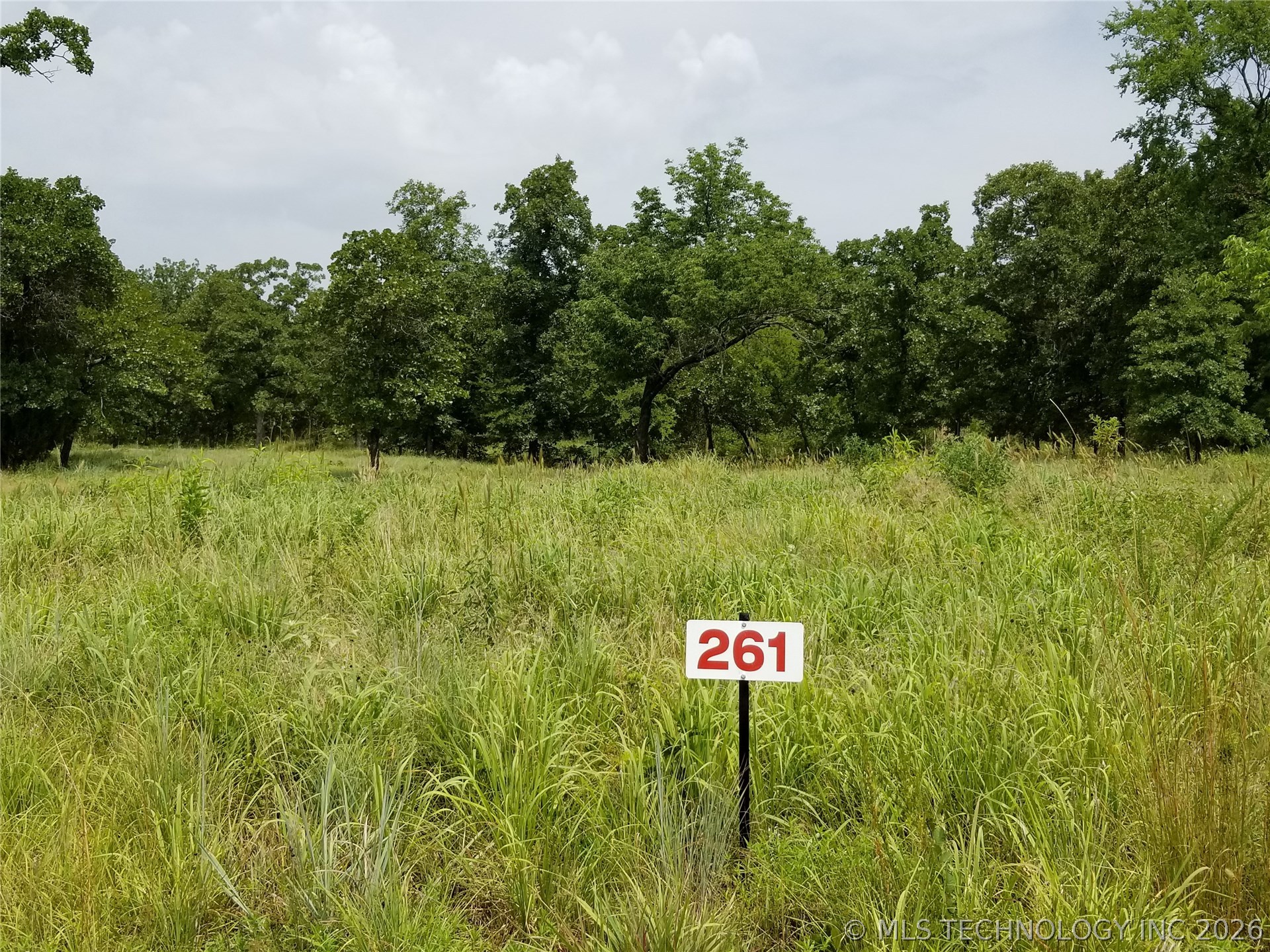 261 Edge Water Road Property Photo 6