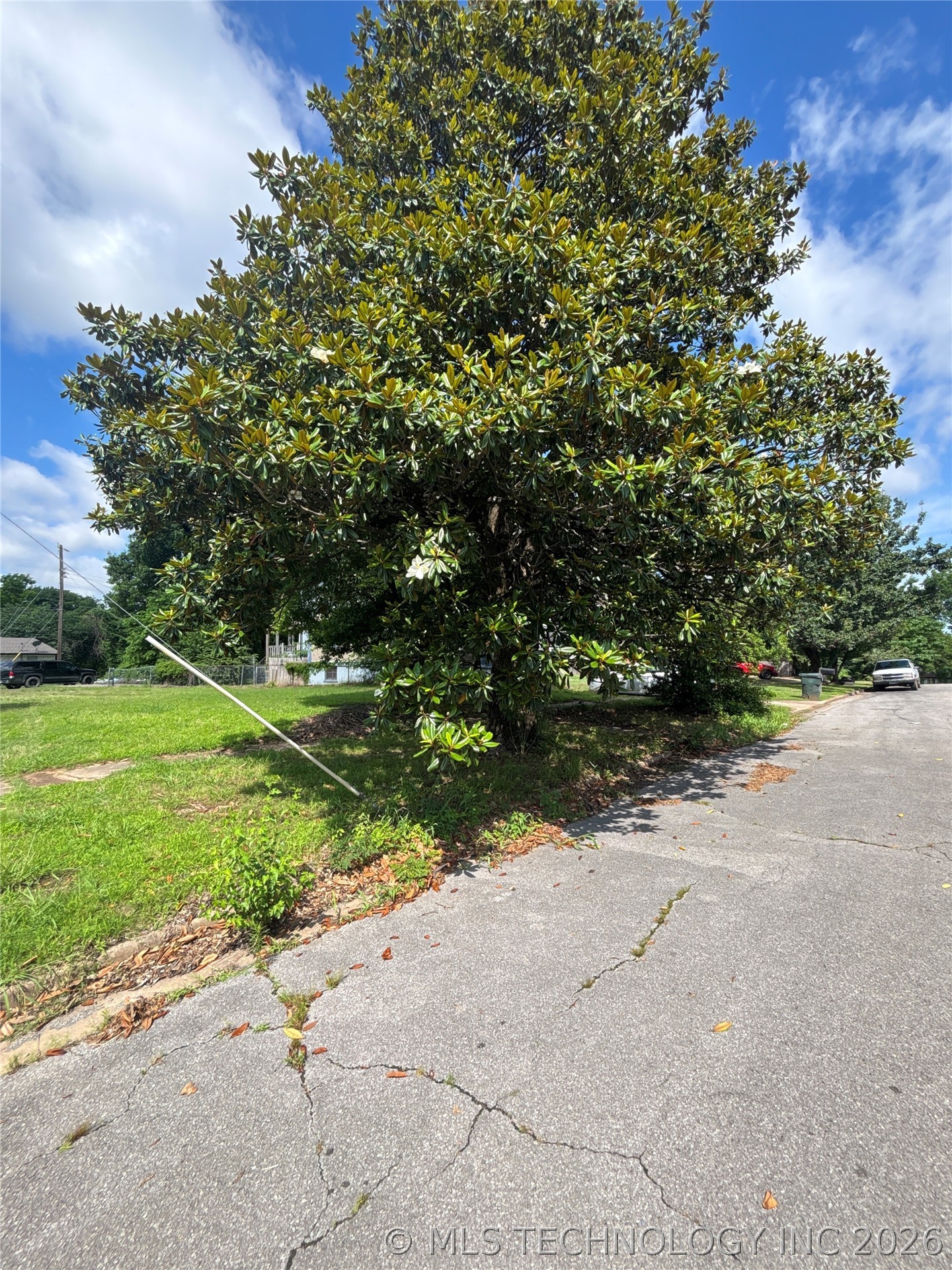 1101 S Terrace Property Photo 3