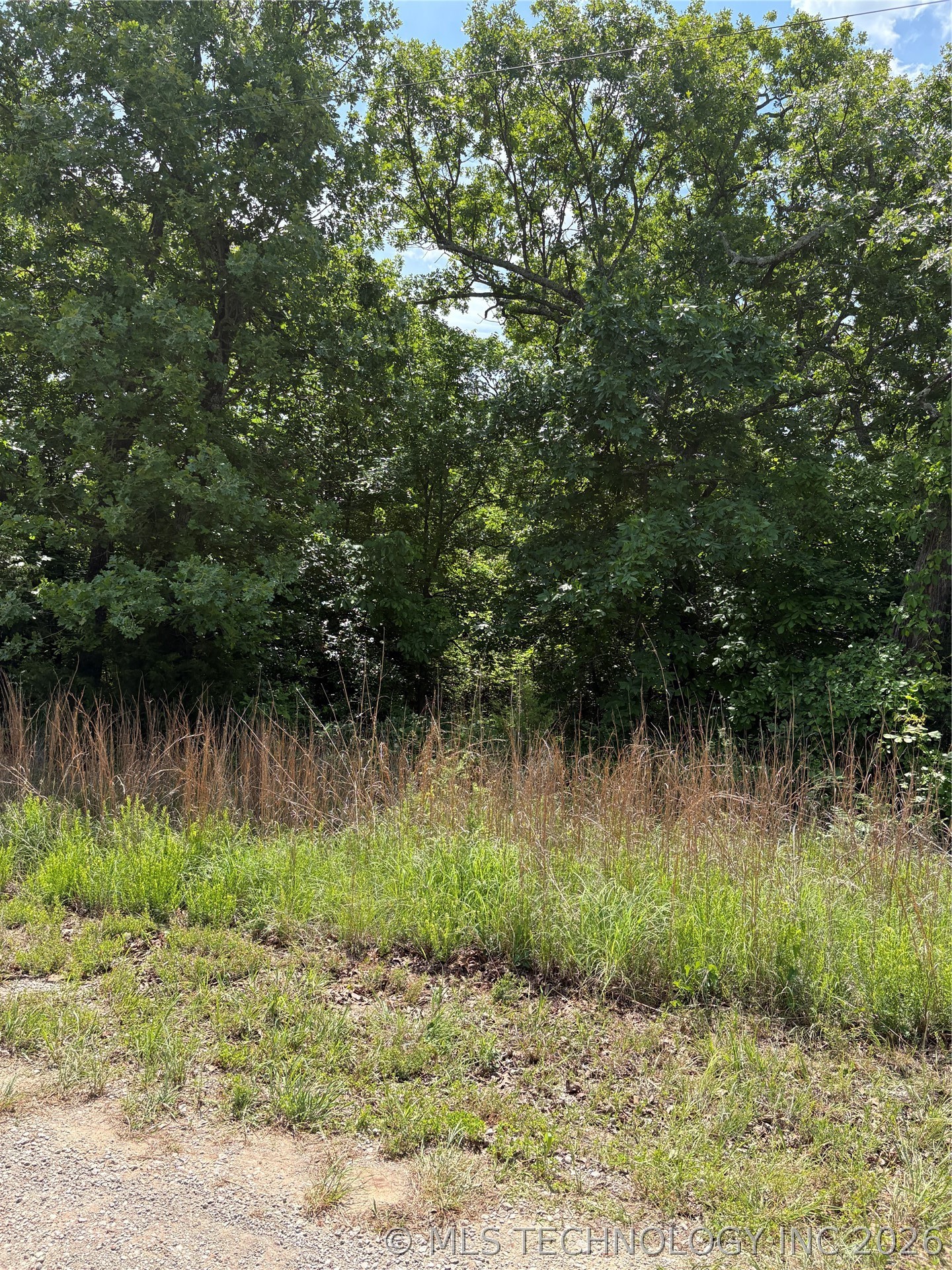 1166 Westview Trail Property Photo 3