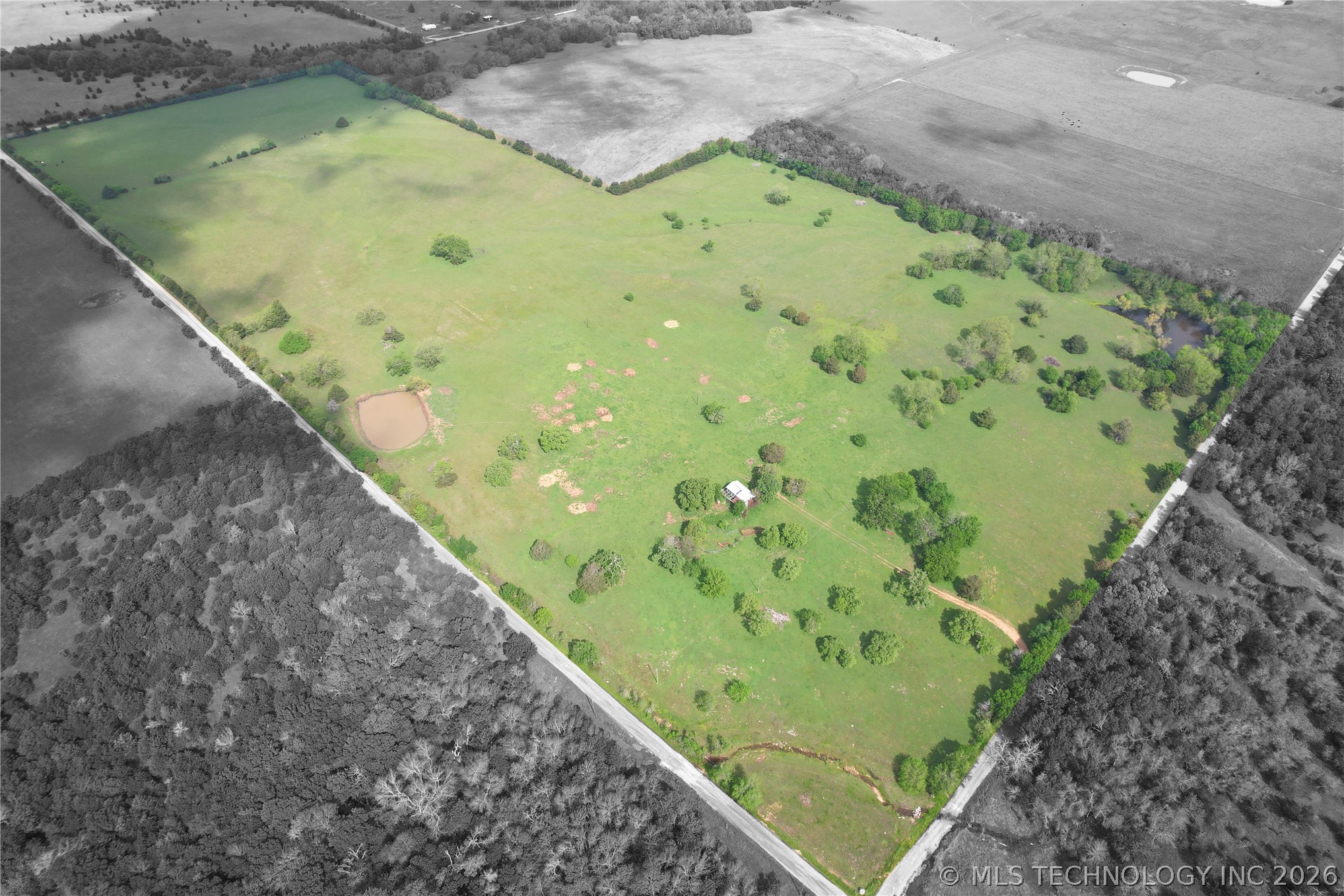 Blue Springs Property Photo 1