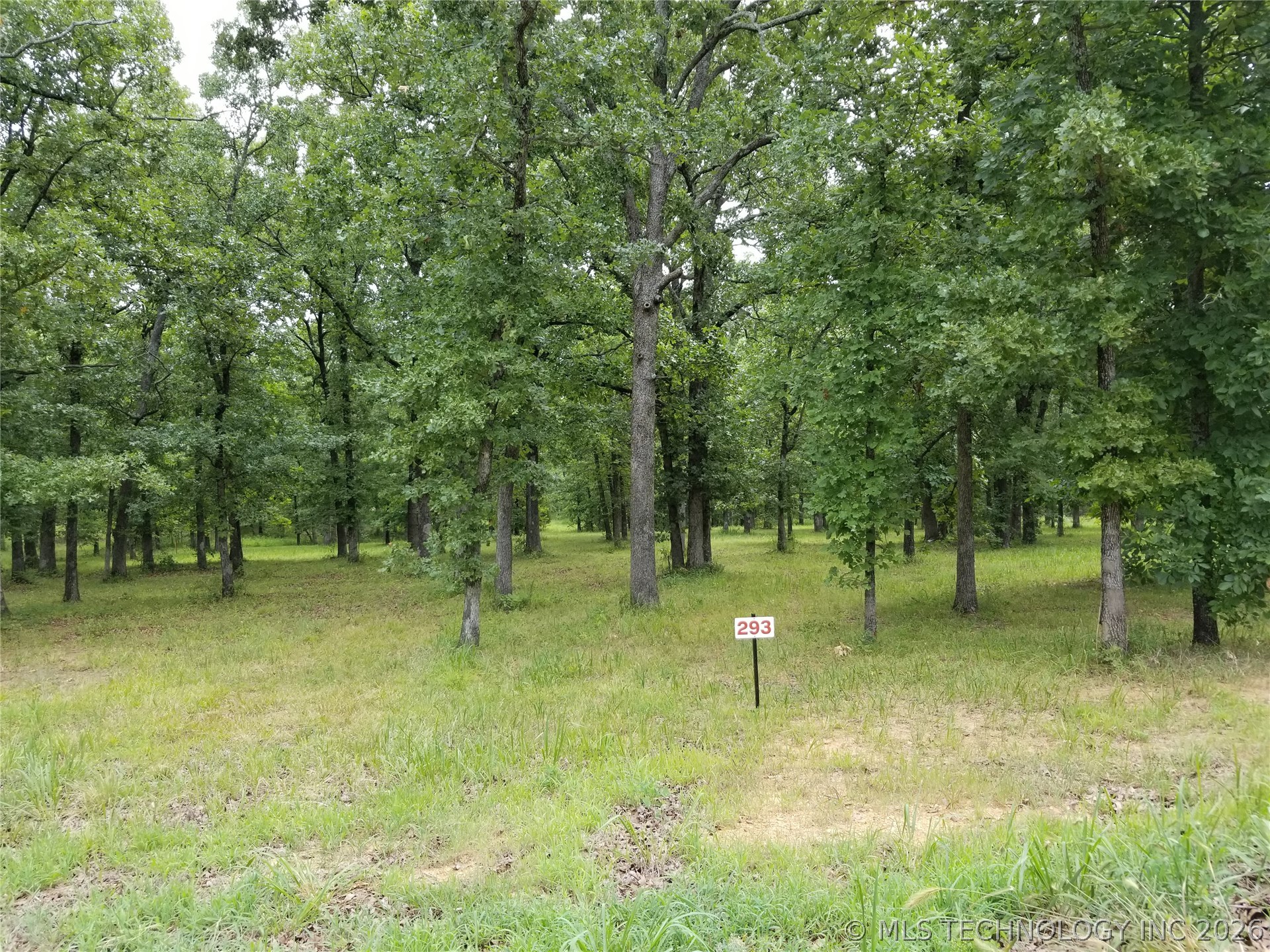 293 Edge Water Road Property Photo 6