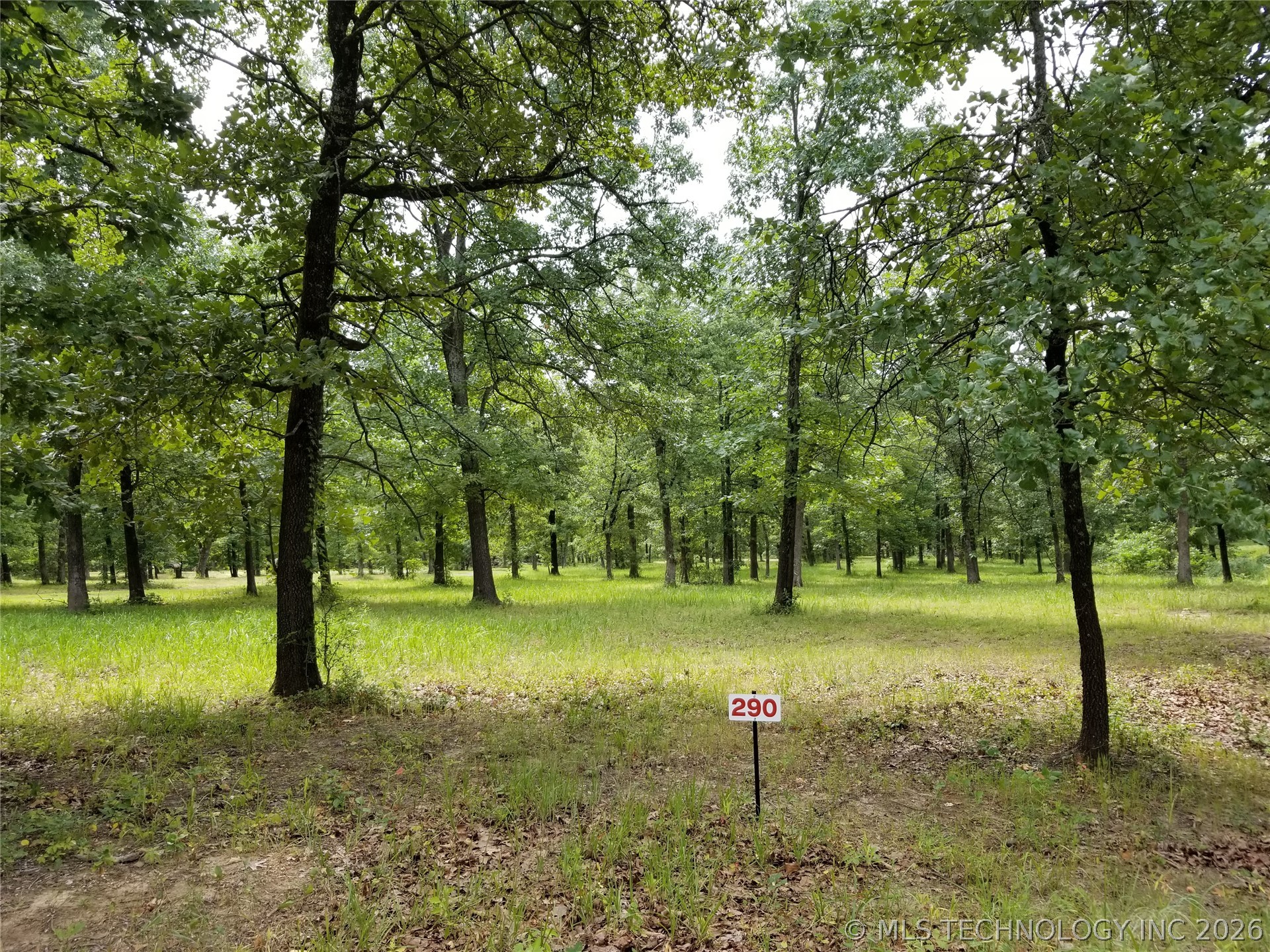 290 Edge Water Road Property Photo 6
