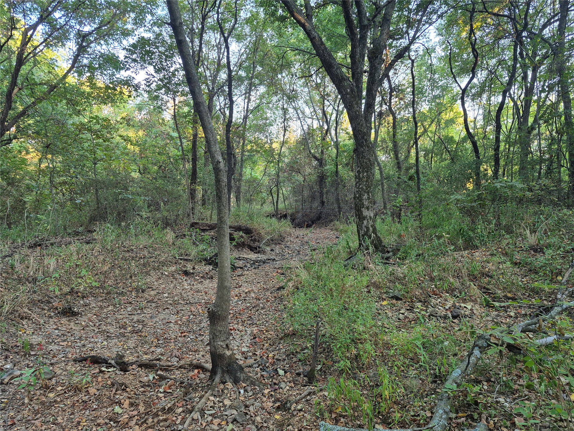 0000 Hwy 82 Highway Property Photo 19