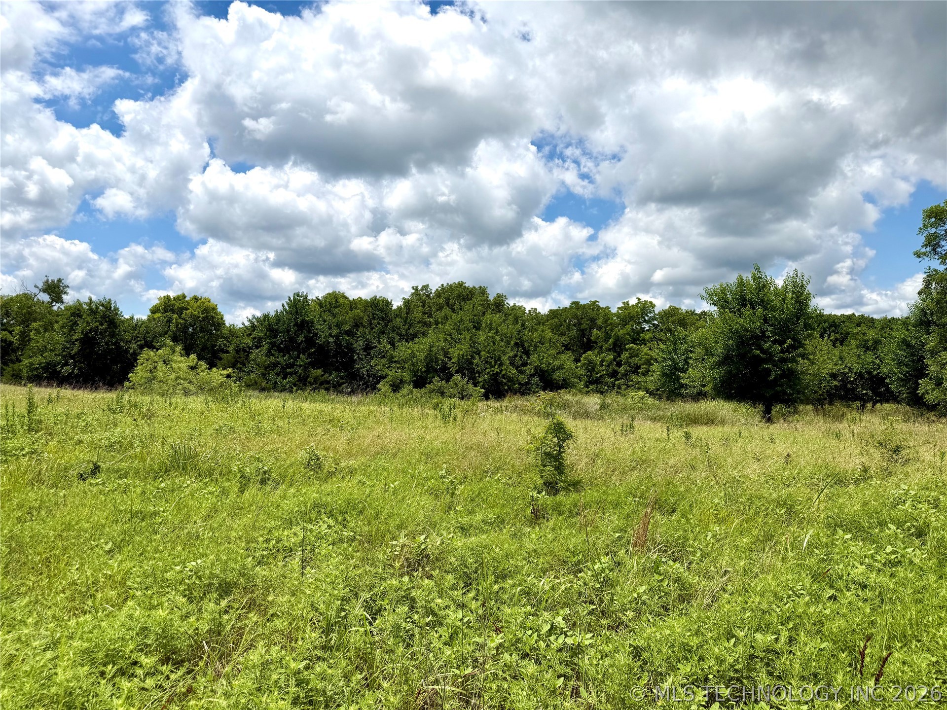 2622243 Property Photo 3