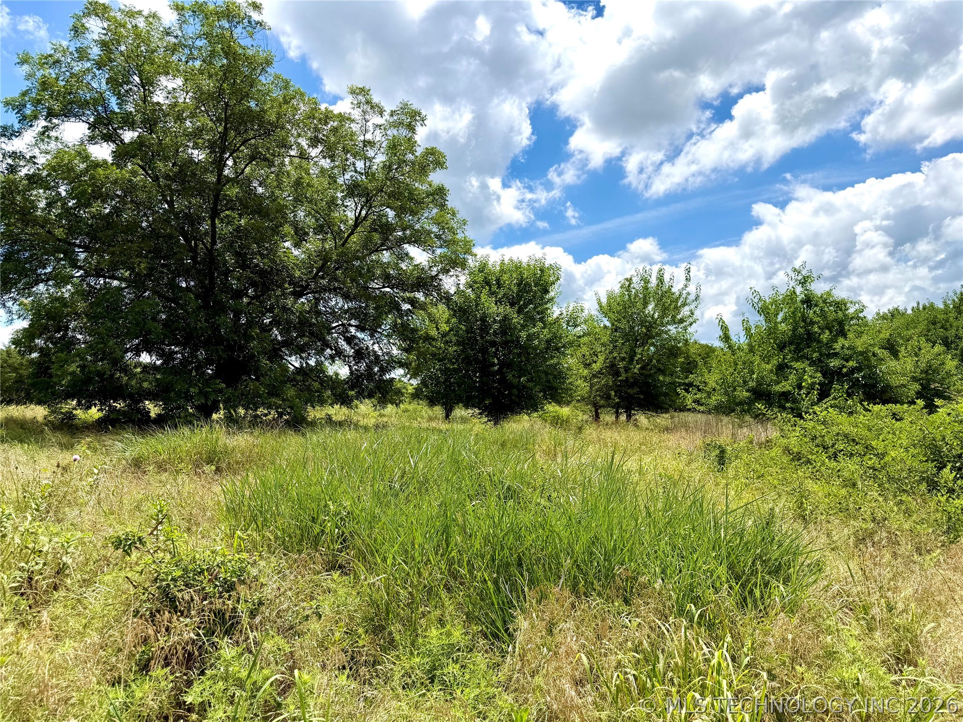 2622243 Property Photo 4