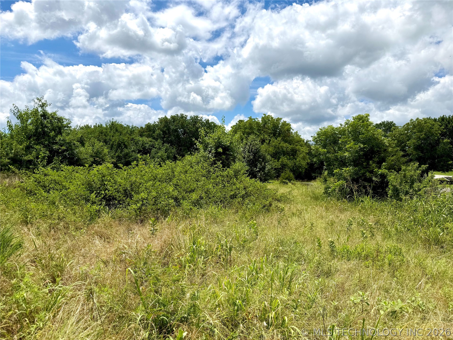 2622243 Property Photo 5
