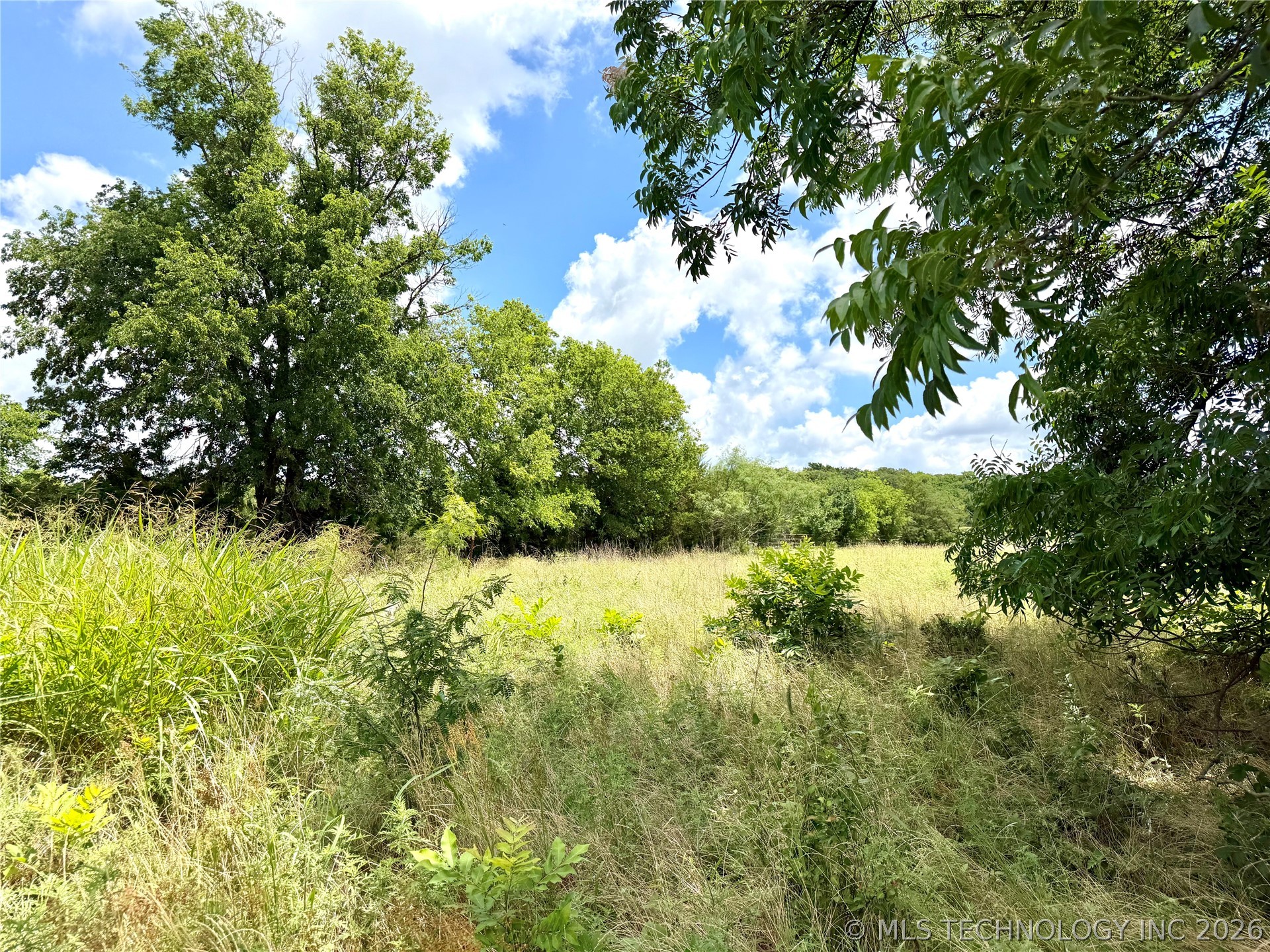 2622243 Property Photo 9