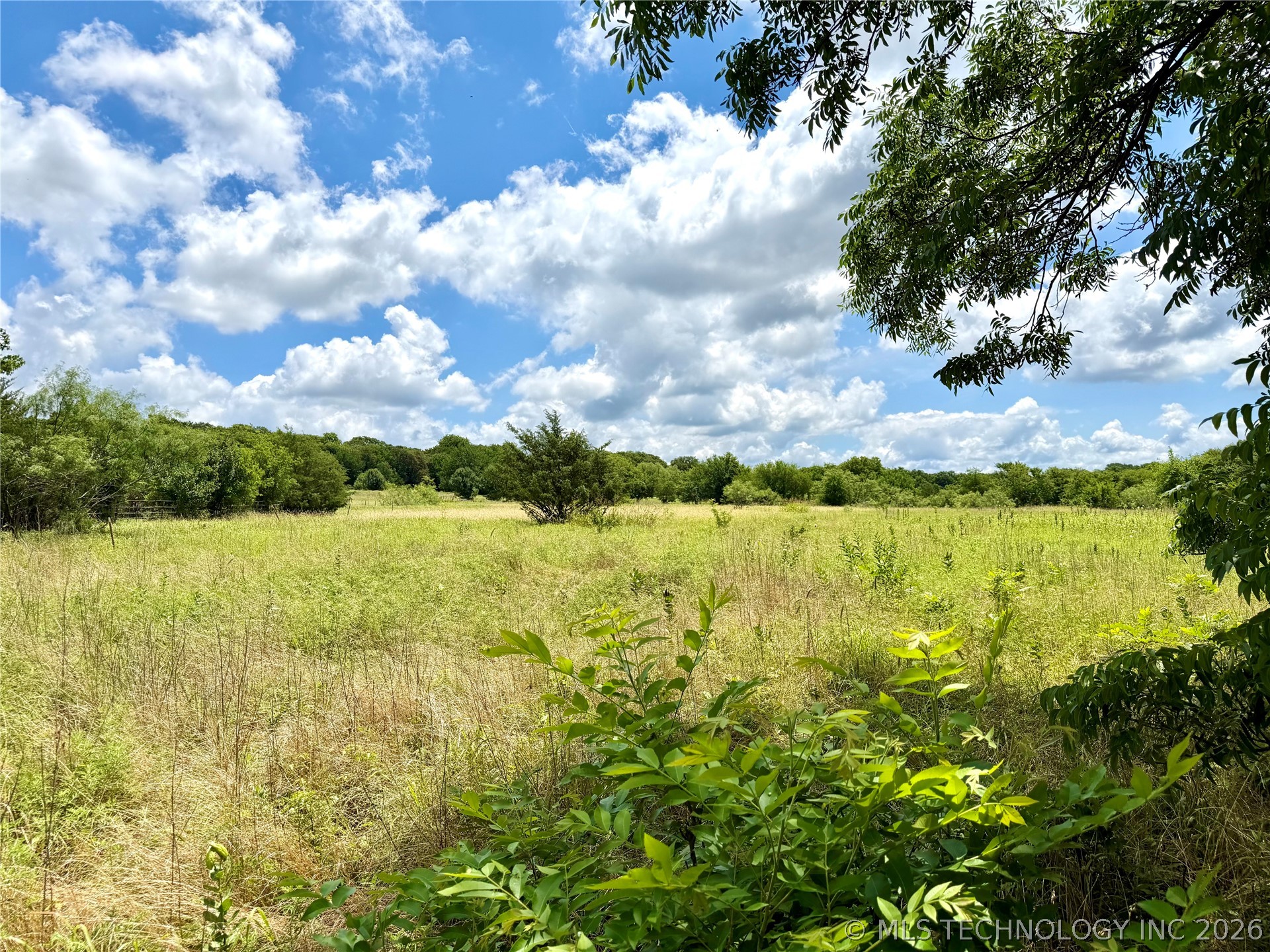 2622243 Property Photo 10