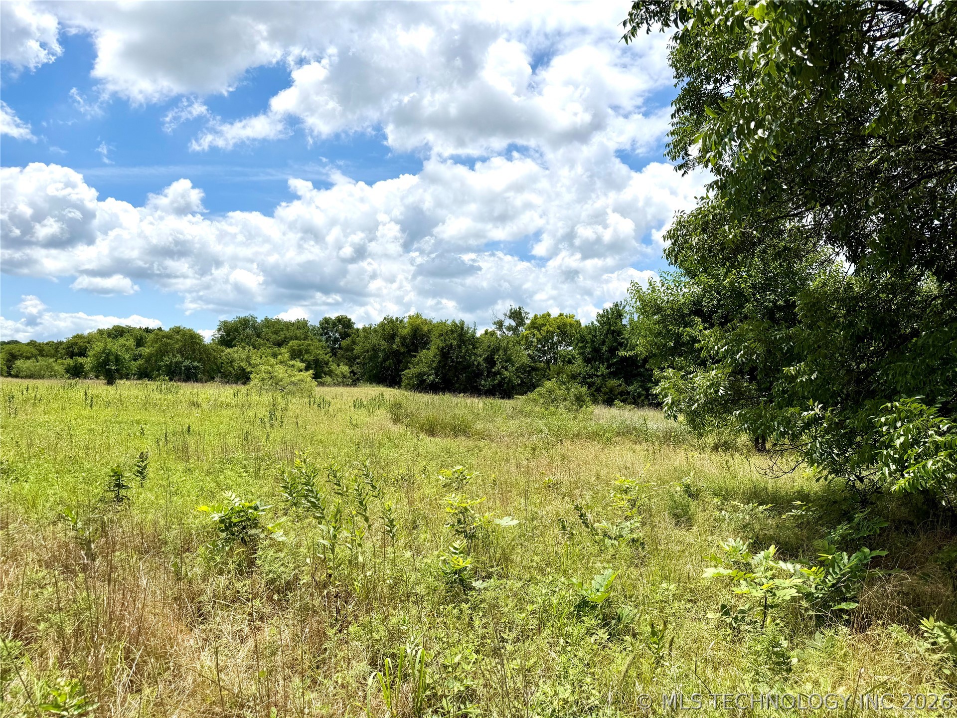 2622243 Property Photo 11