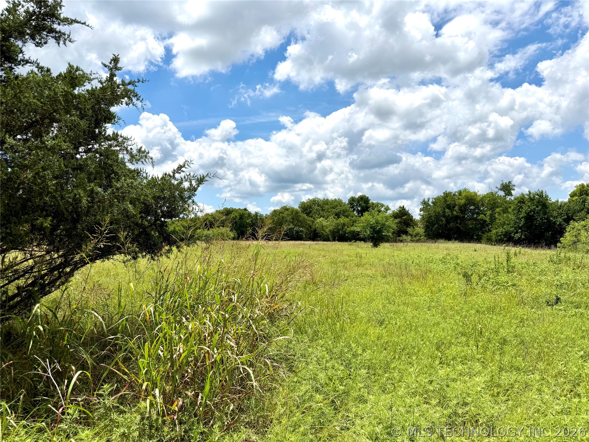 2622243 Property Photo 13