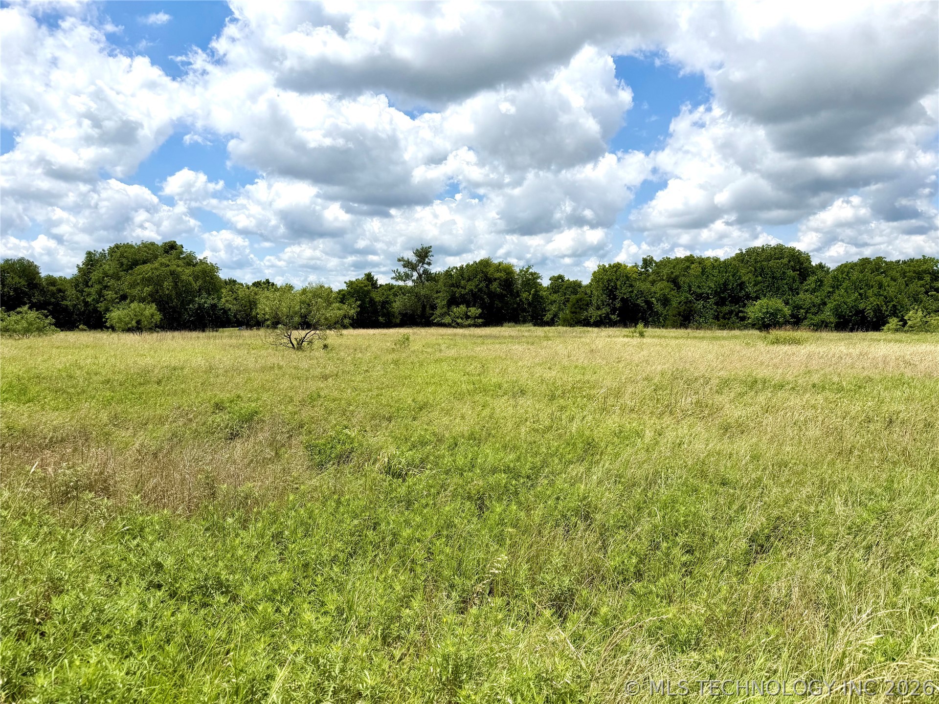 2622243 Property Photo 17