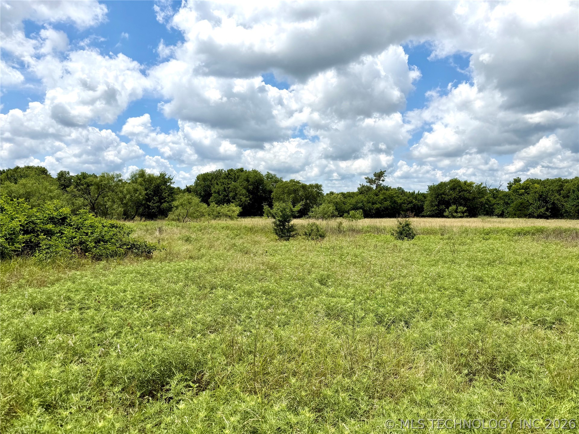2622243 Property Photo 21