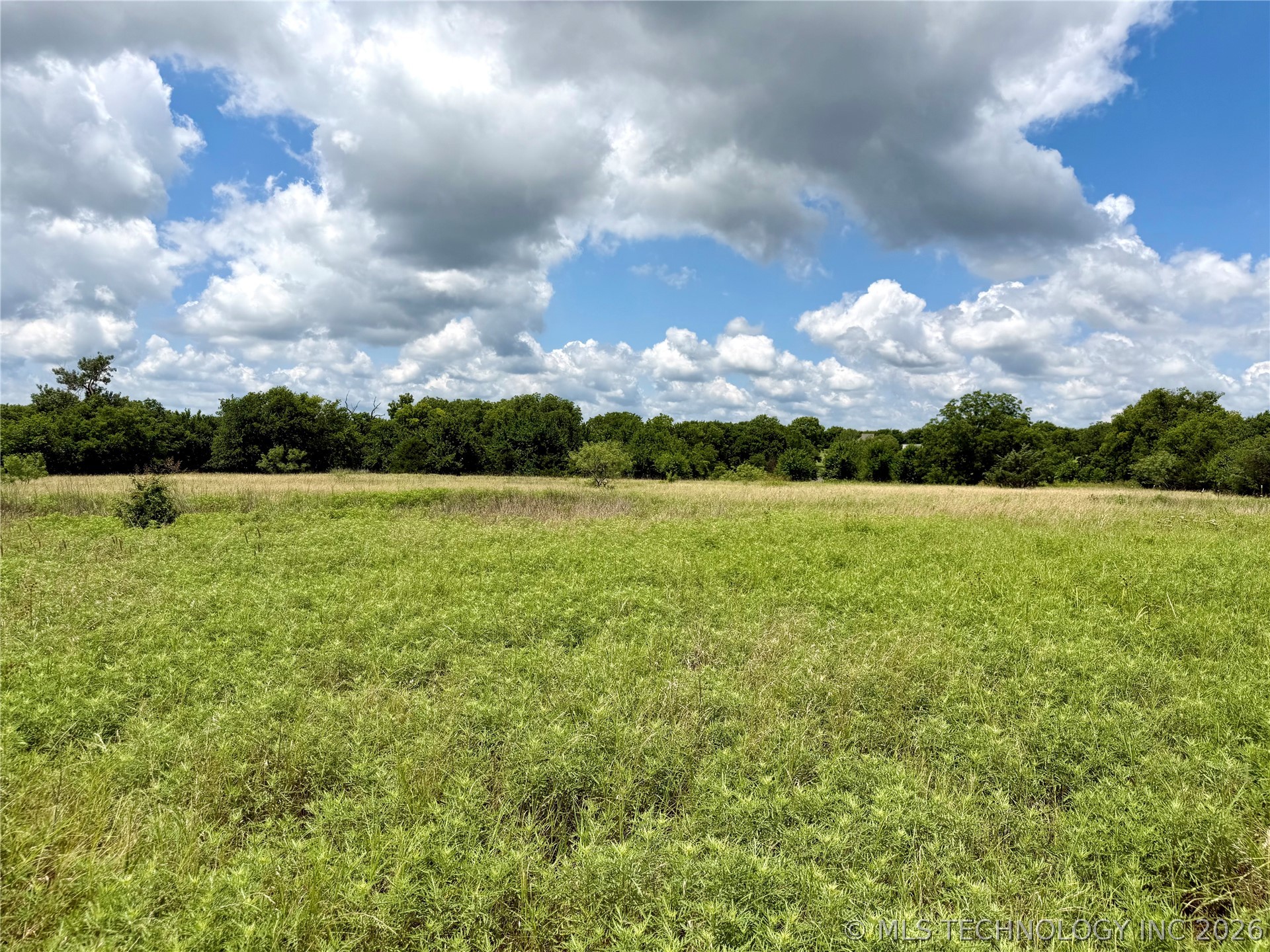 2622243 Property Photo 22